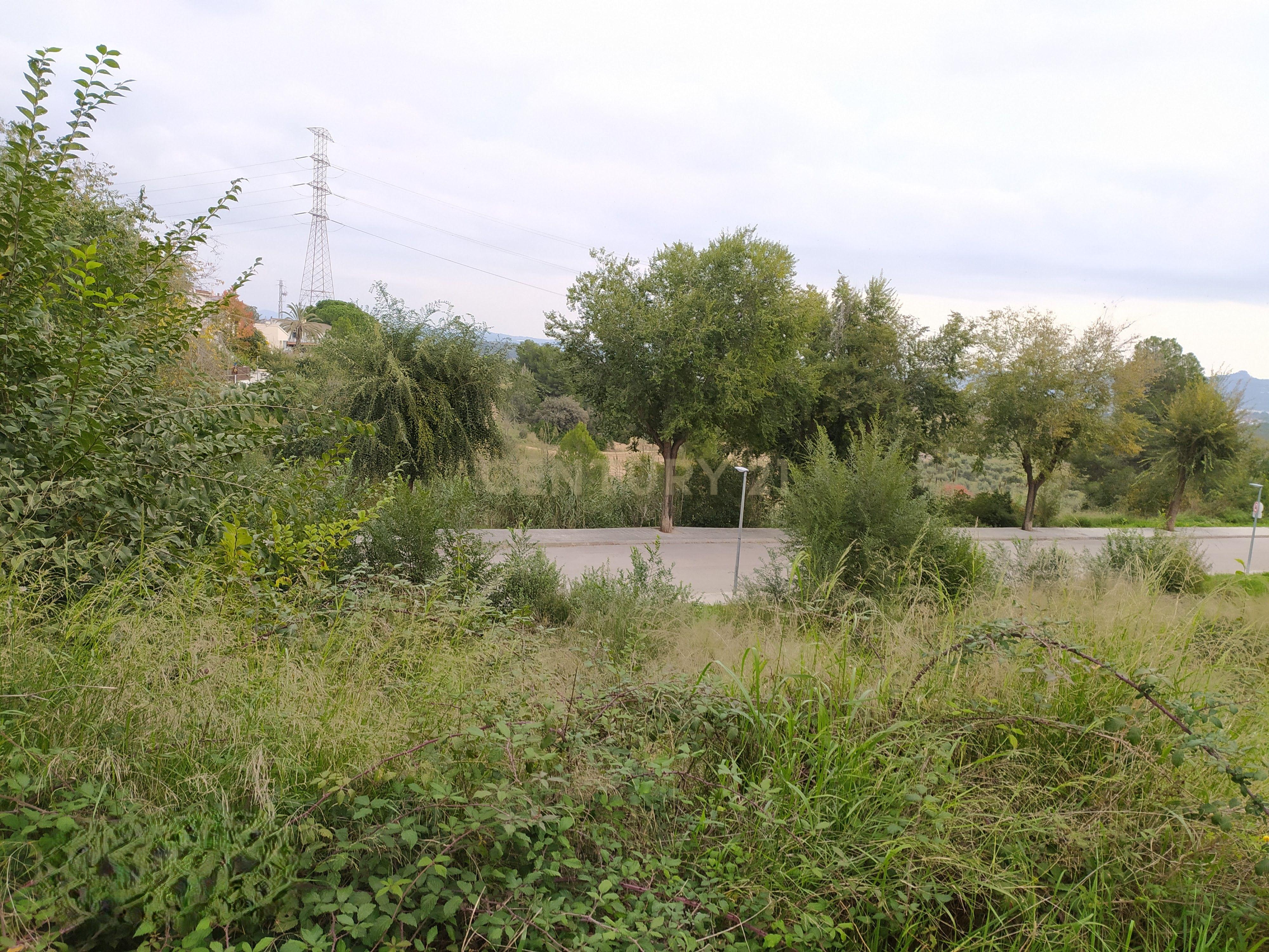 undefined - Image 17