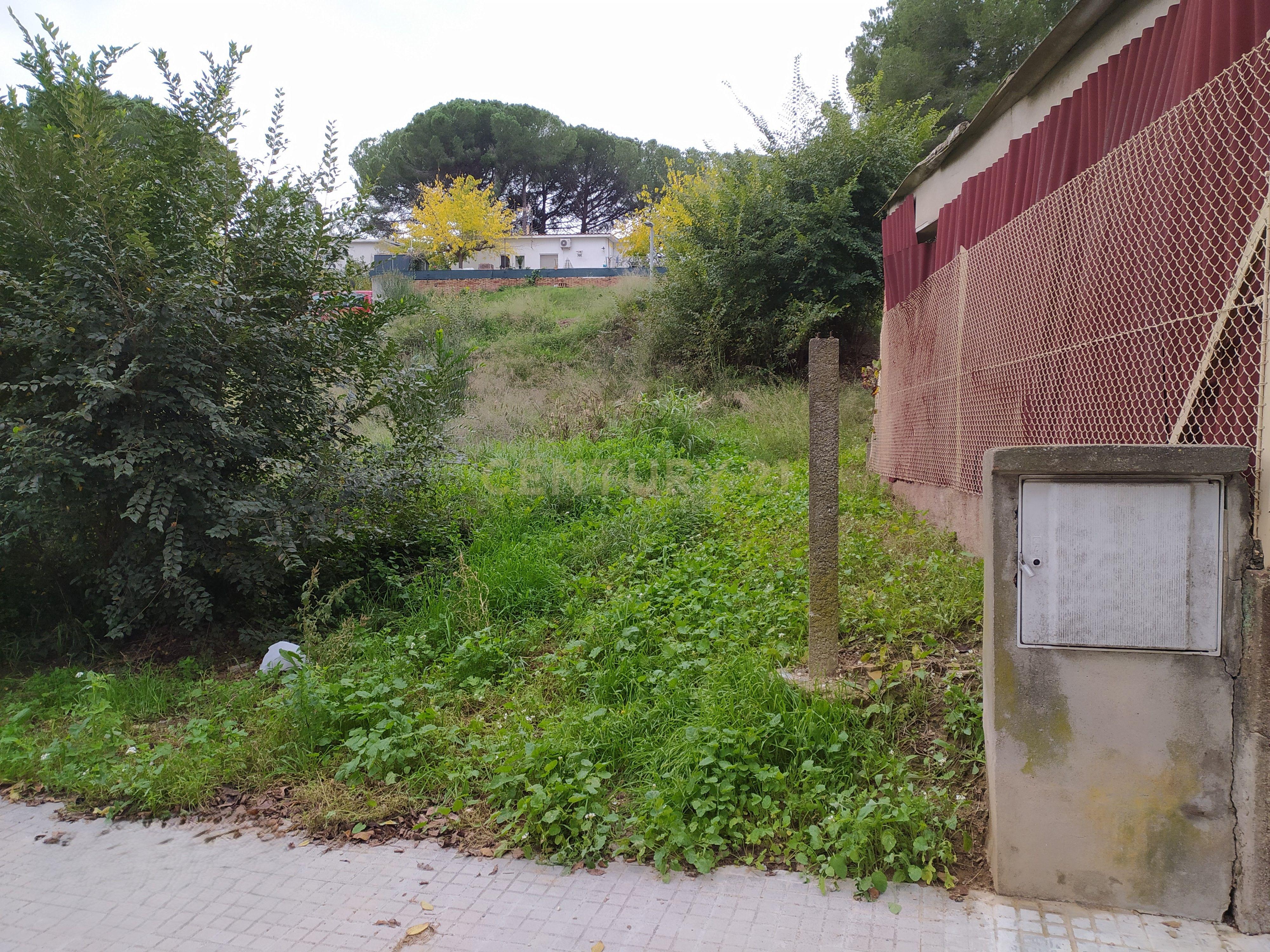 undefined - Image 19