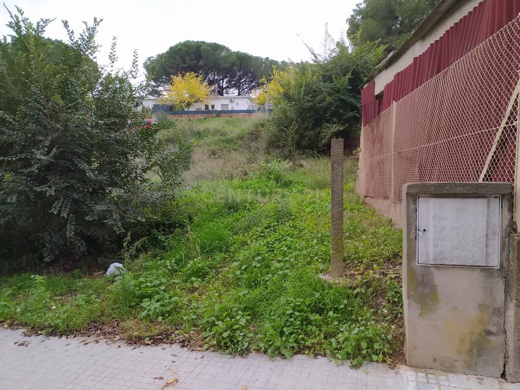 undefined - Image 19
