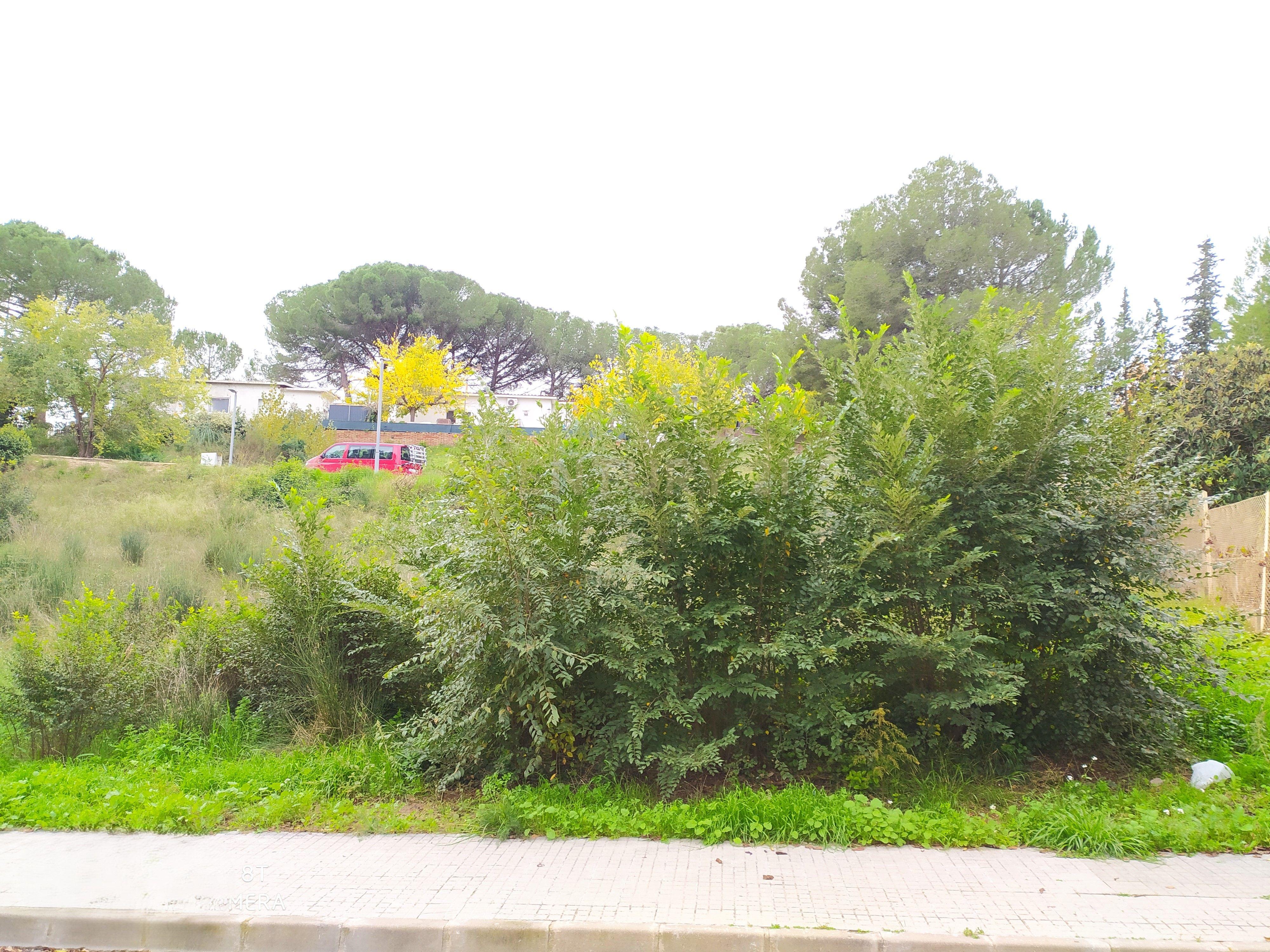 undefined - Image 20