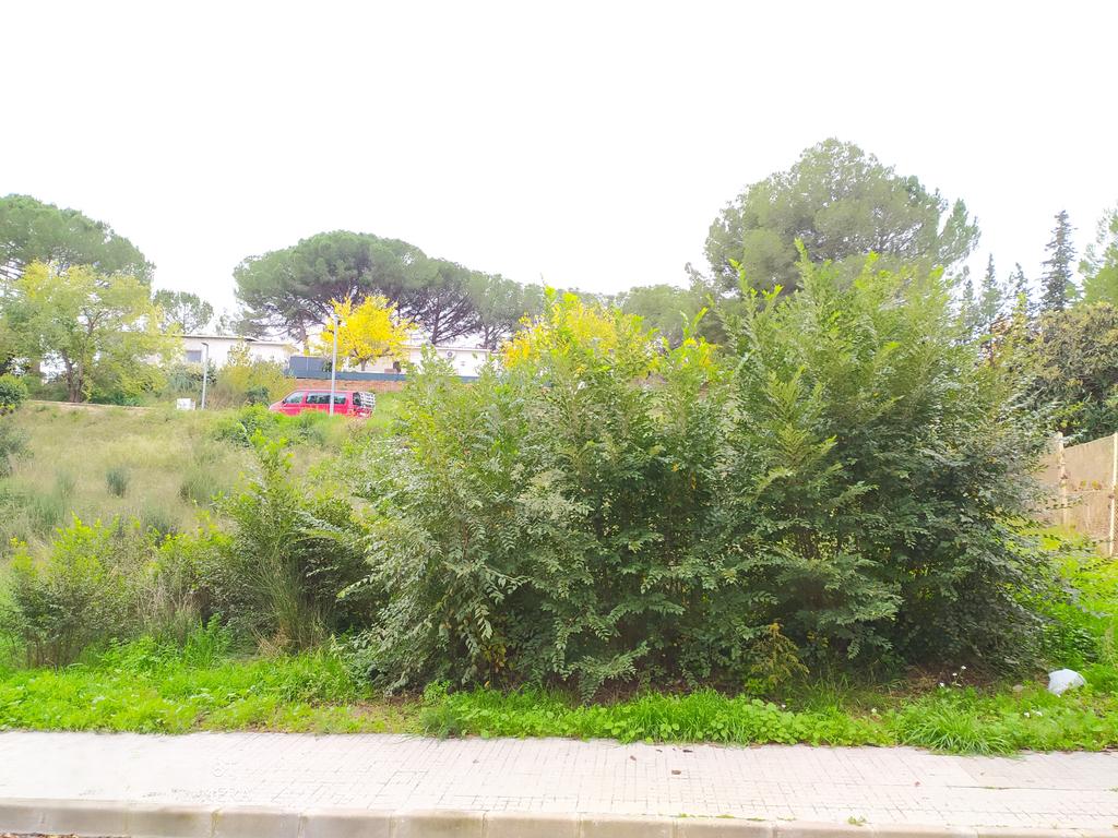 undefined - Image 20