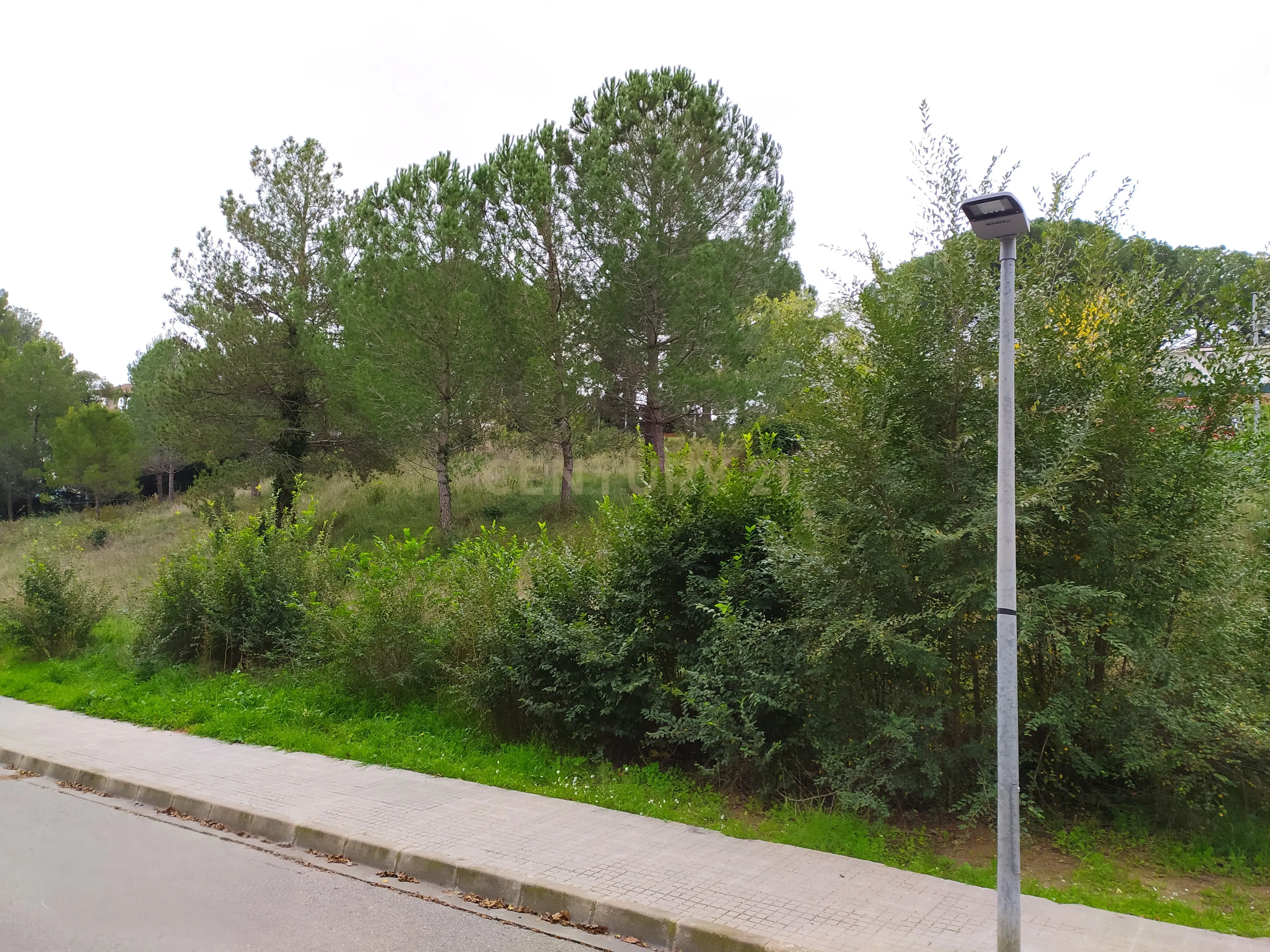 undefined - Image 20