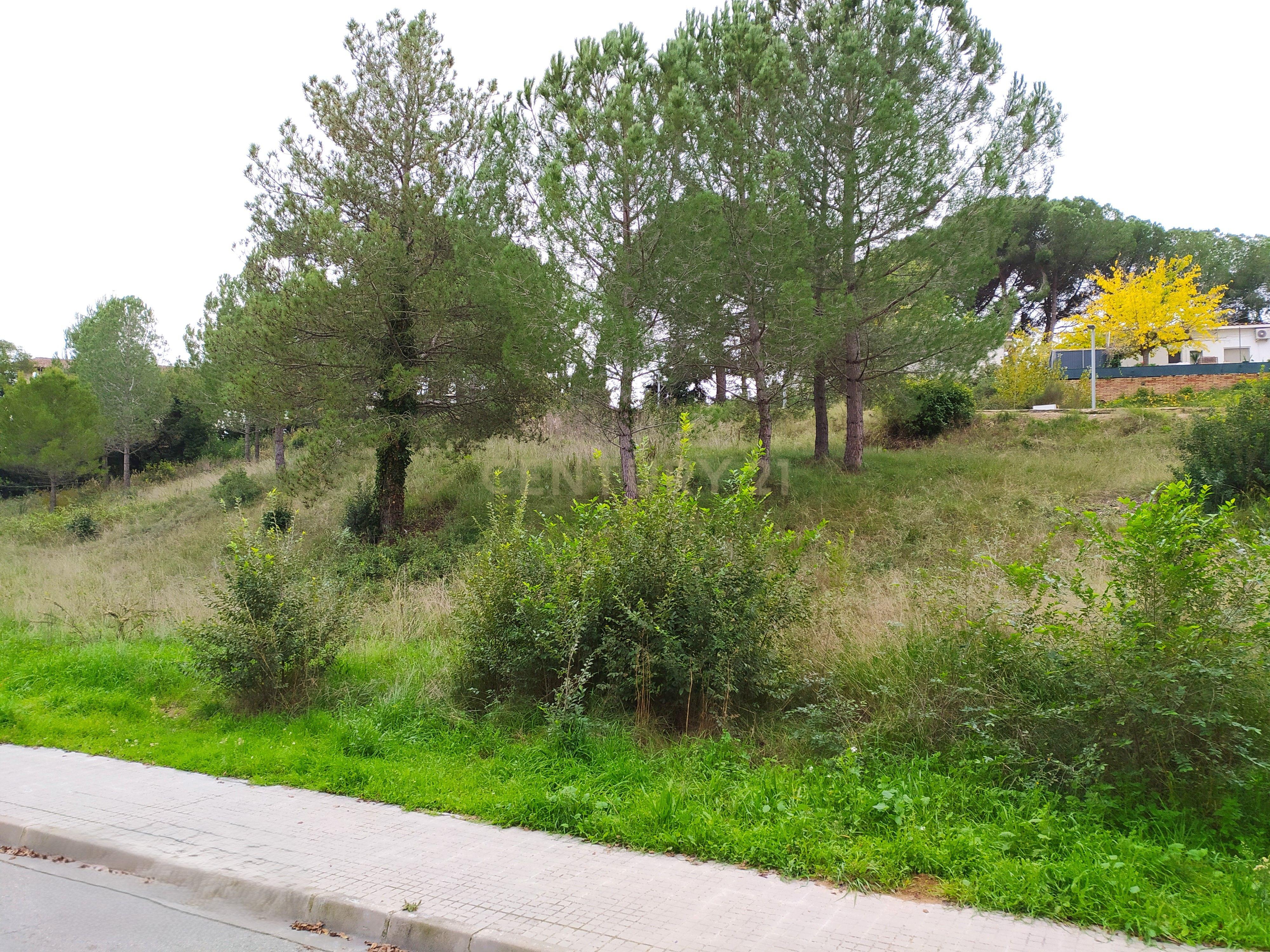 undefined - Image 2