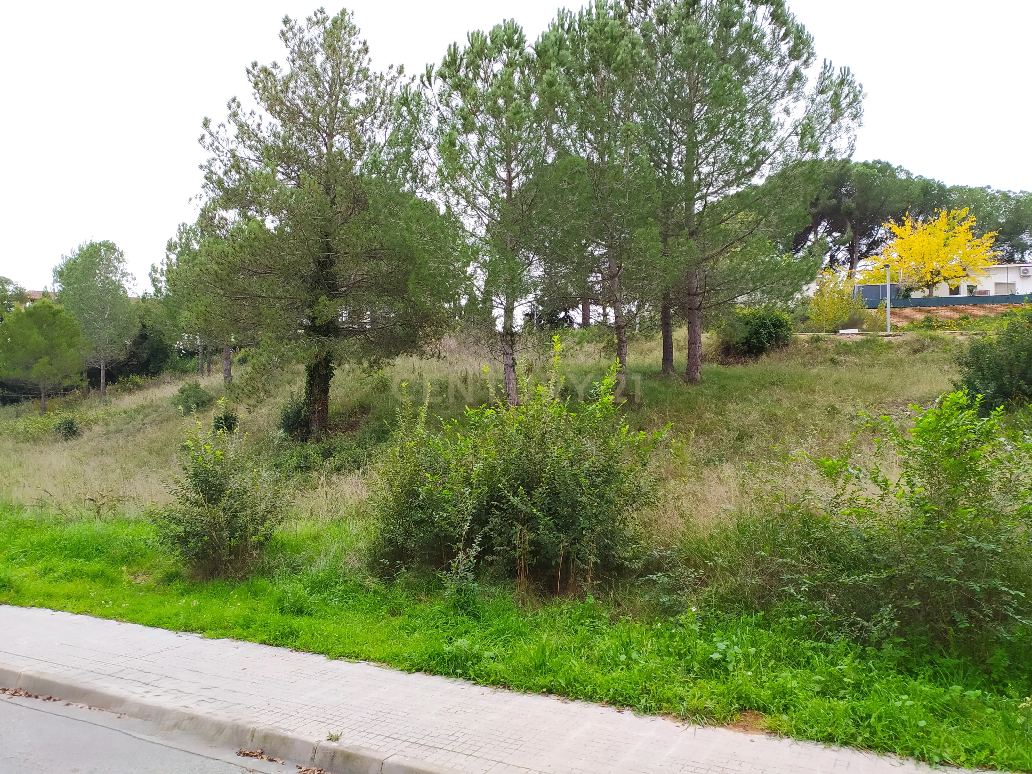 undefined - Image 26