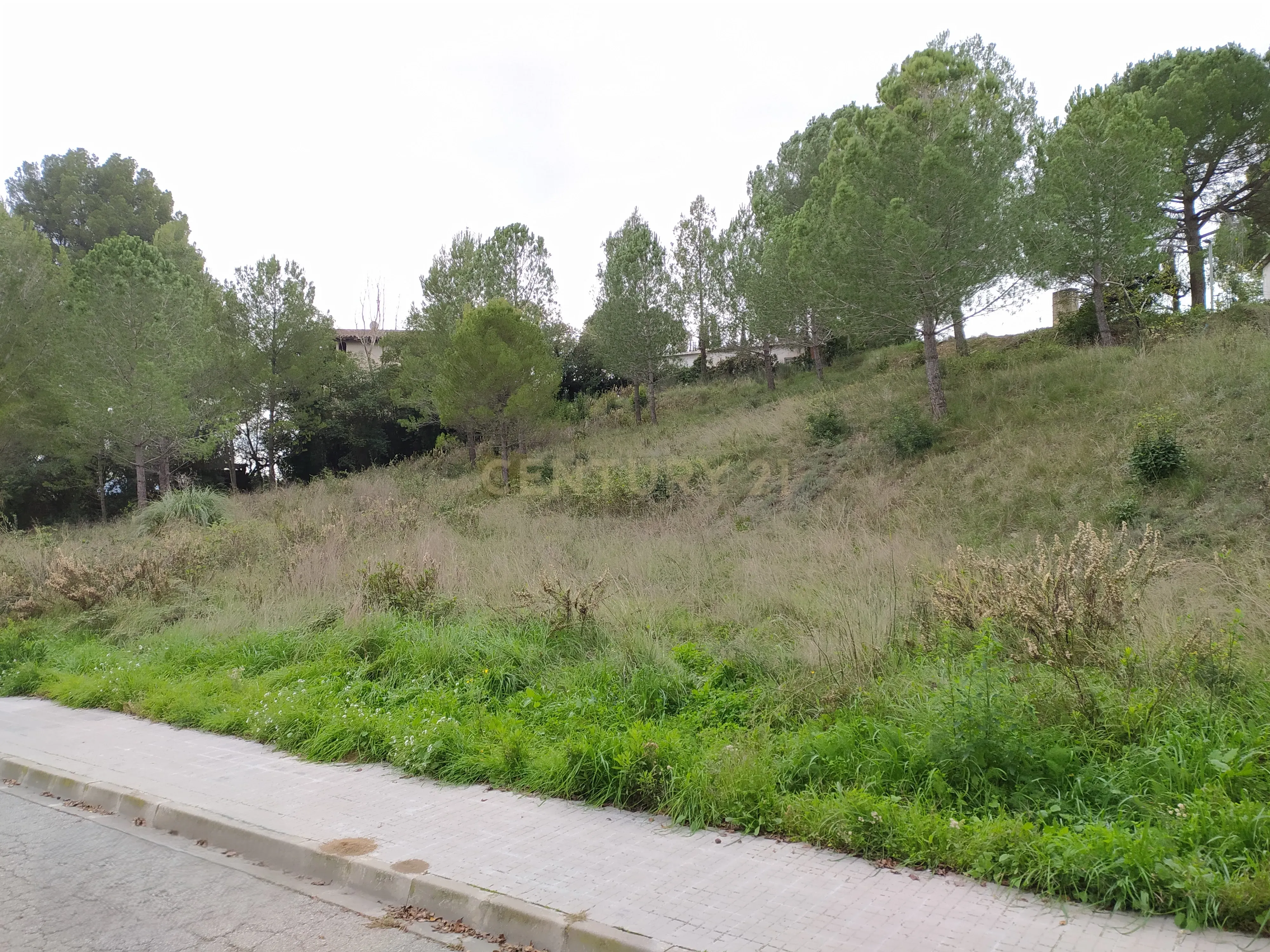 undefined - Image 22