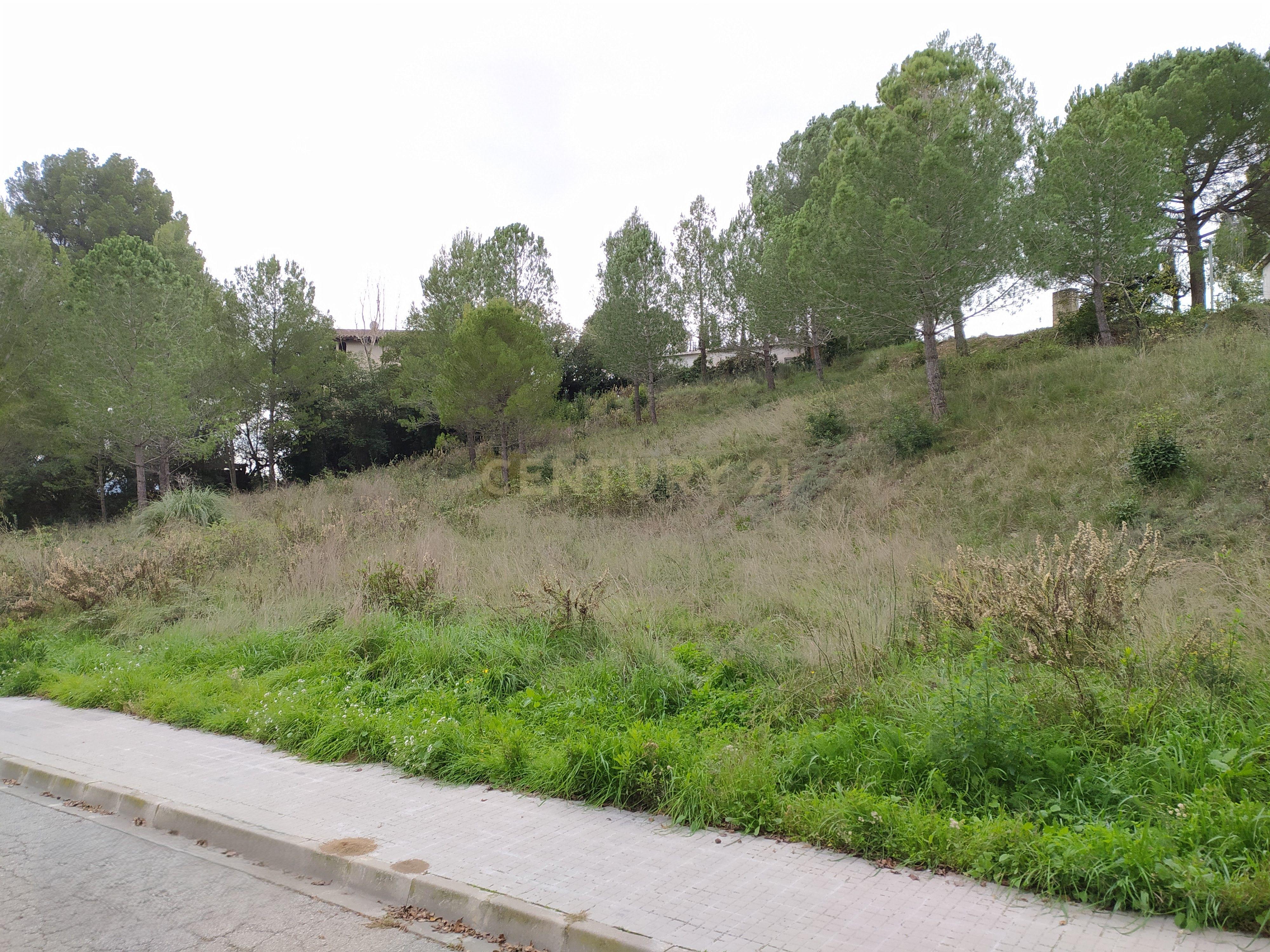 undefined - Image 23
