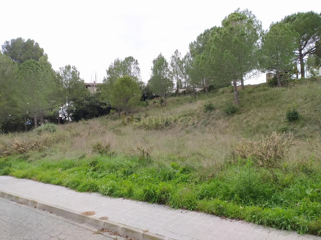 undefined - Image 23