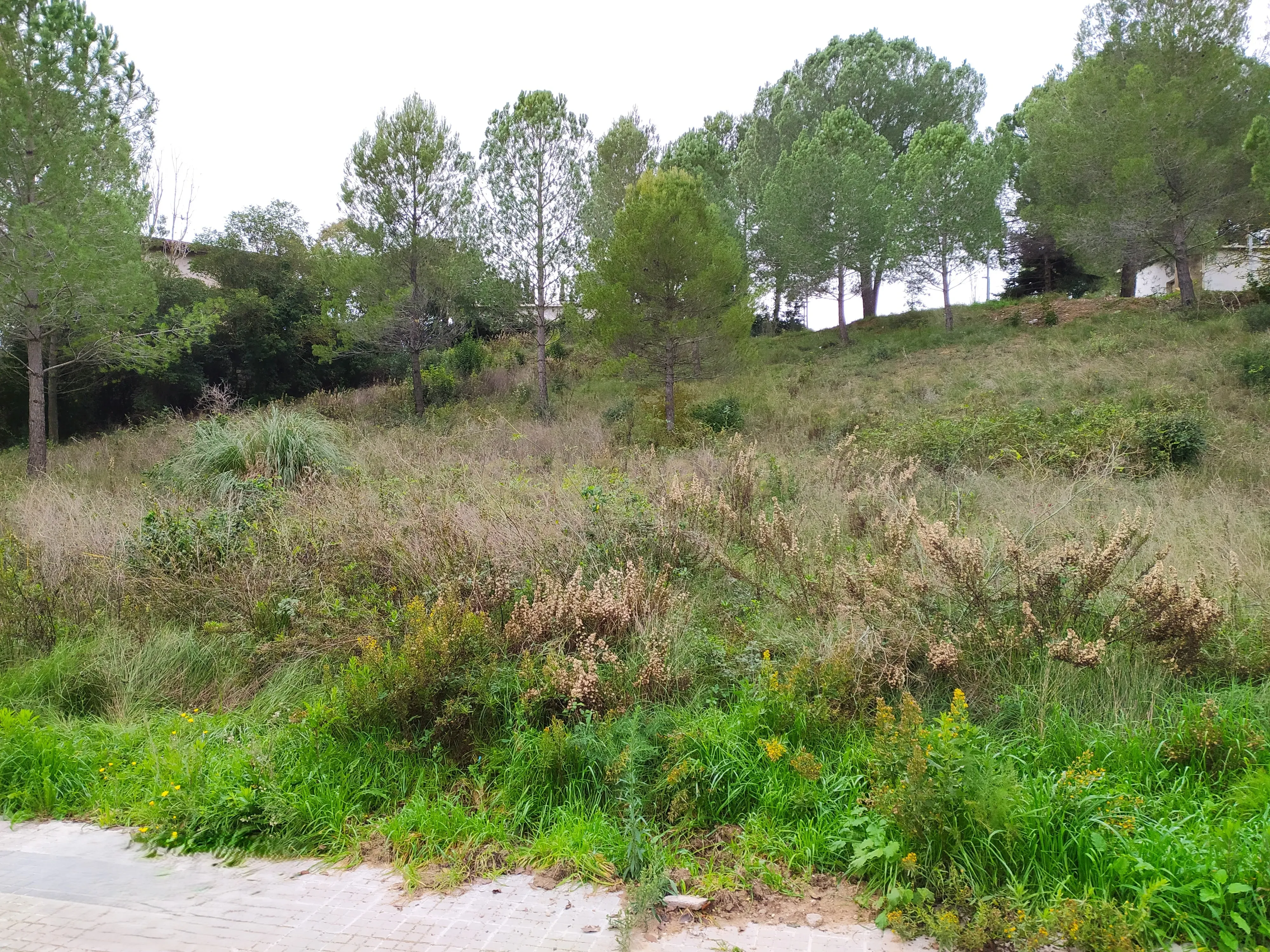 undefined - Image 35