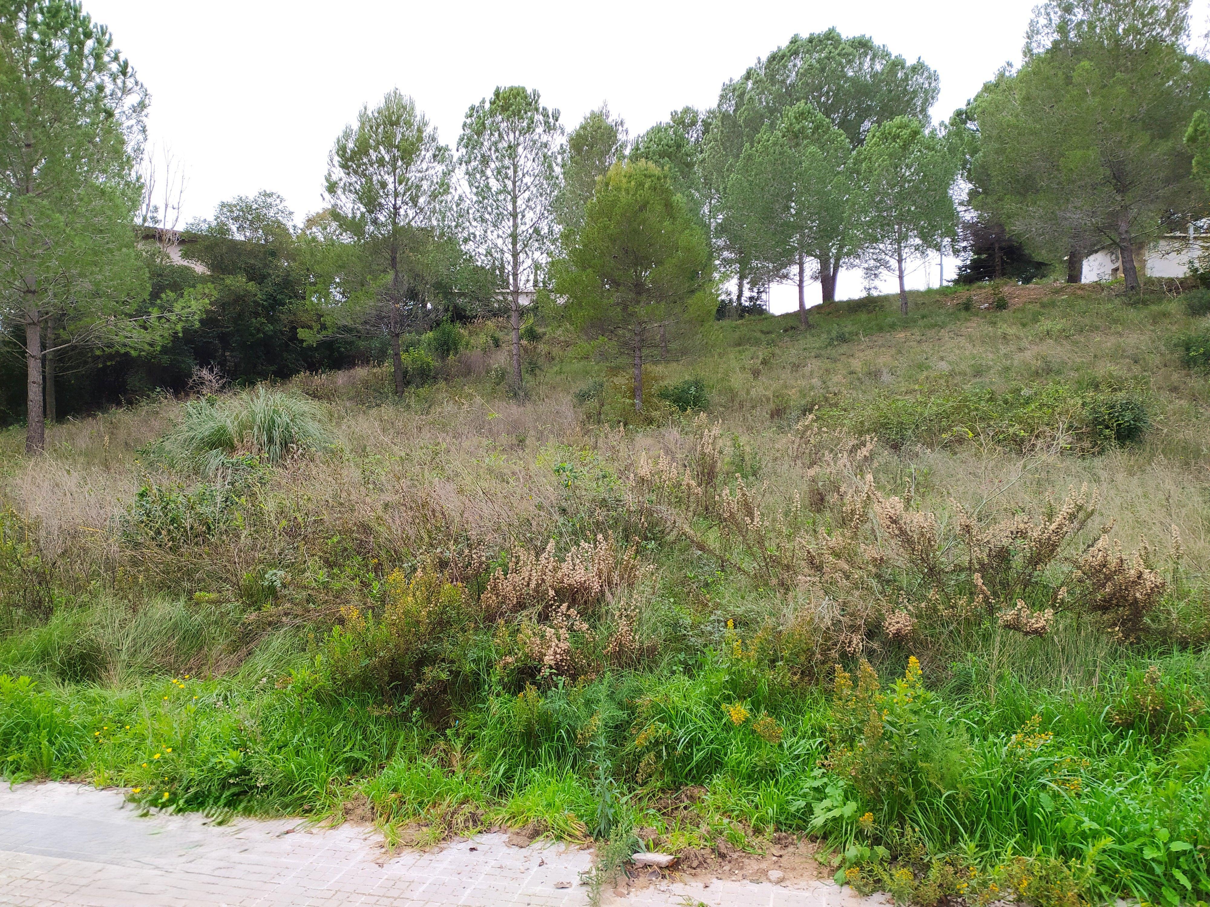 undefined - Image 24