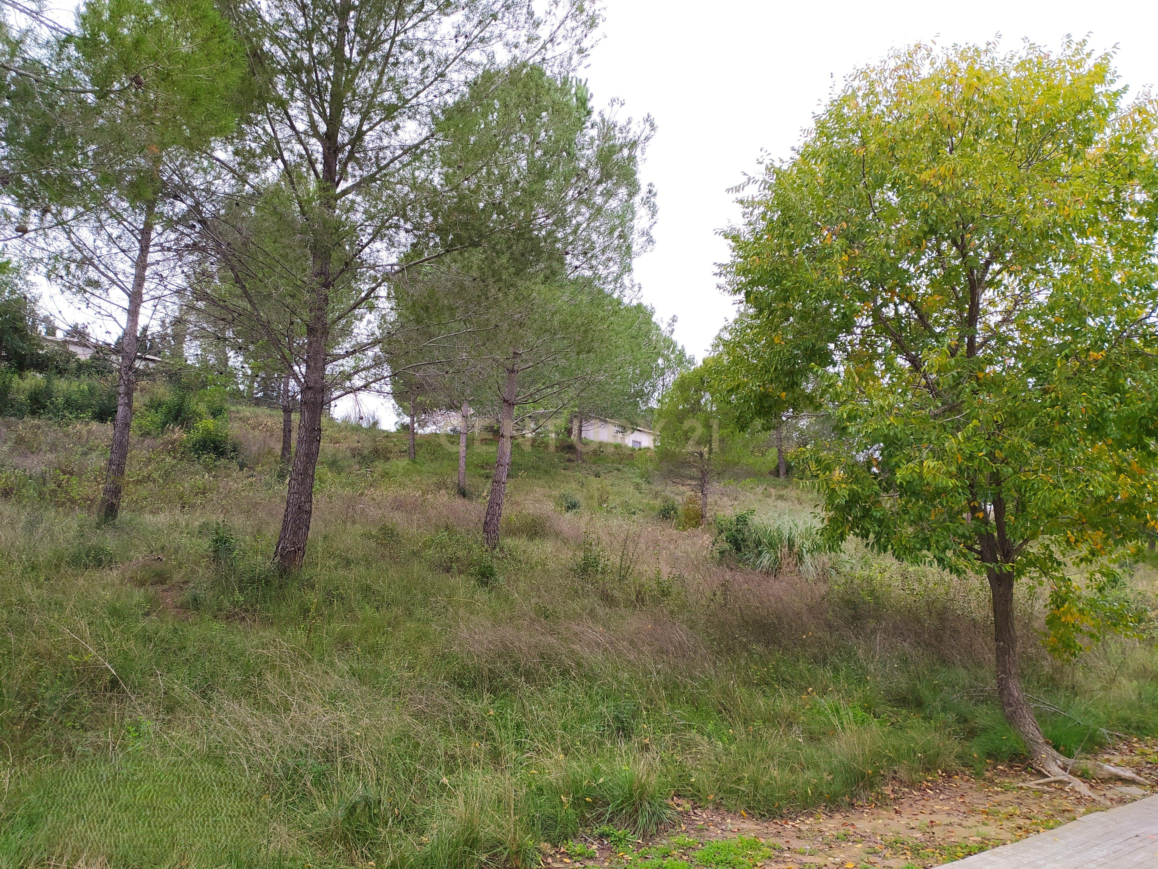 undefined - Image 26