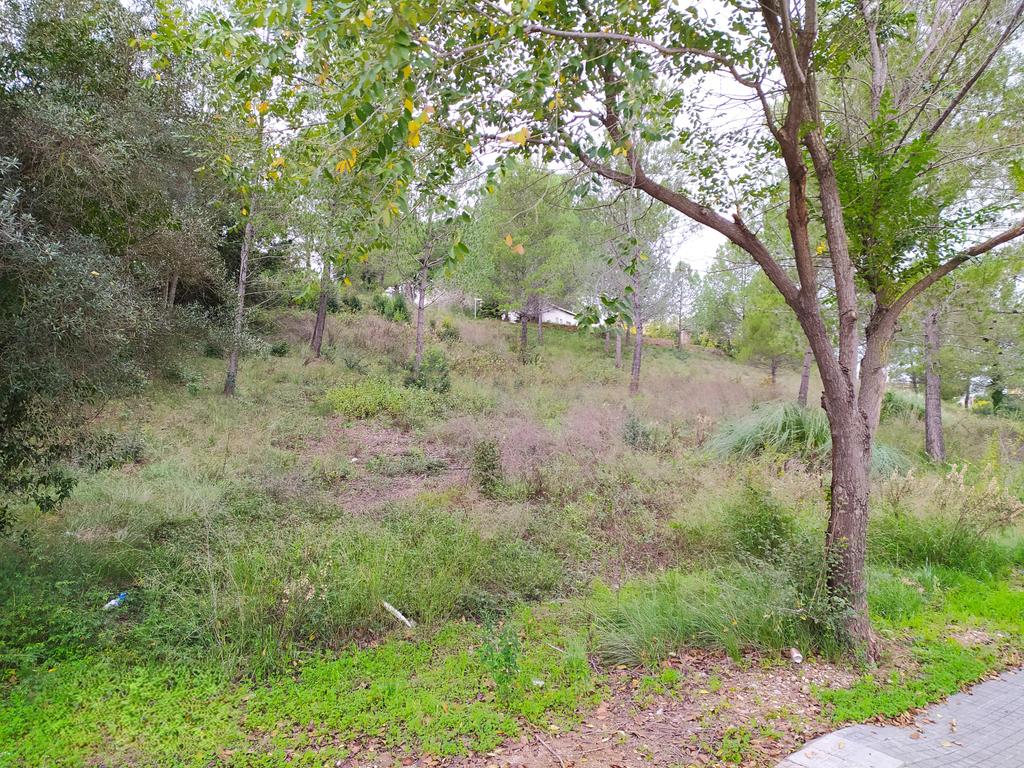 undefined - Image 32