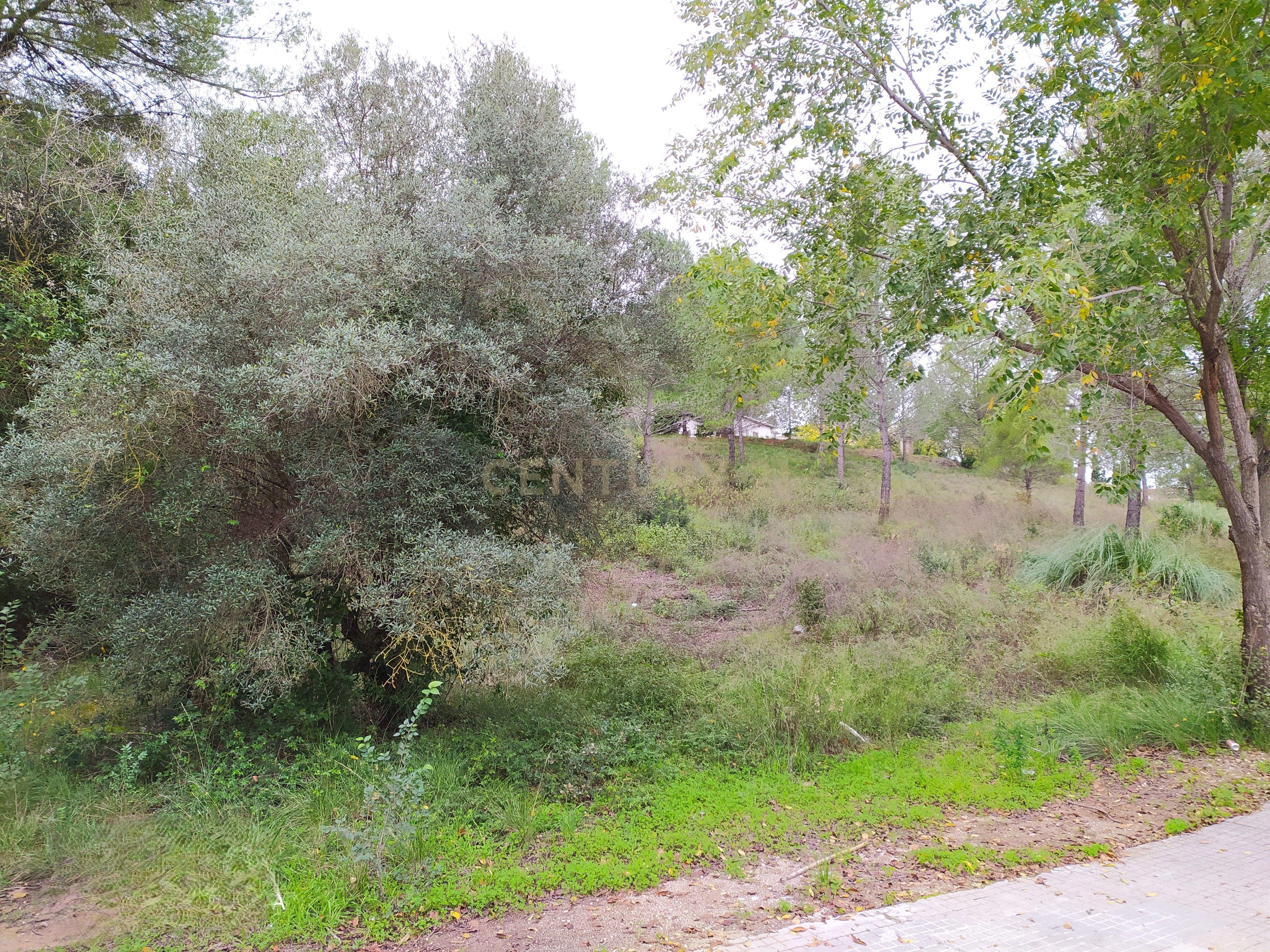 undefined - Image 29