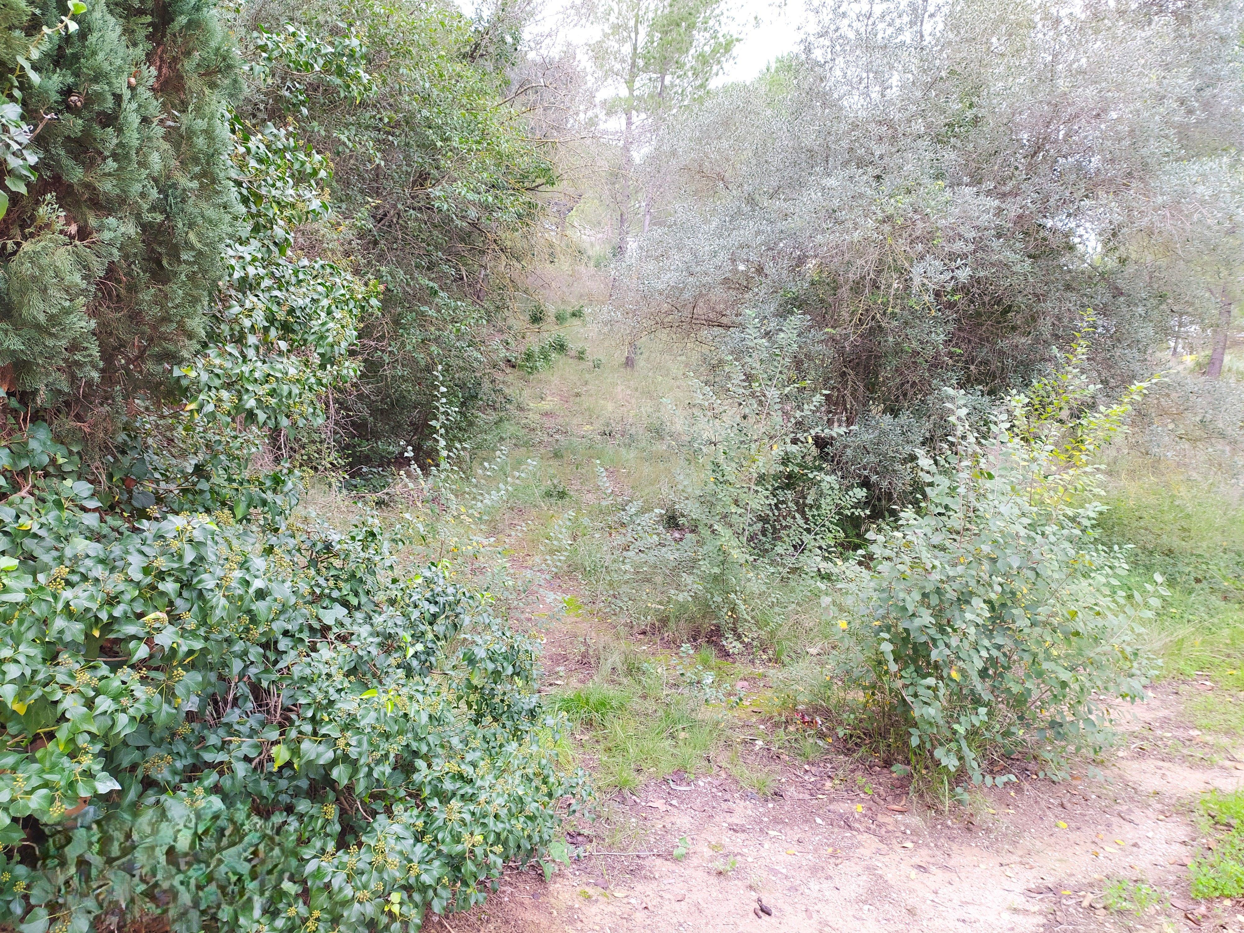 undefined - Image 30