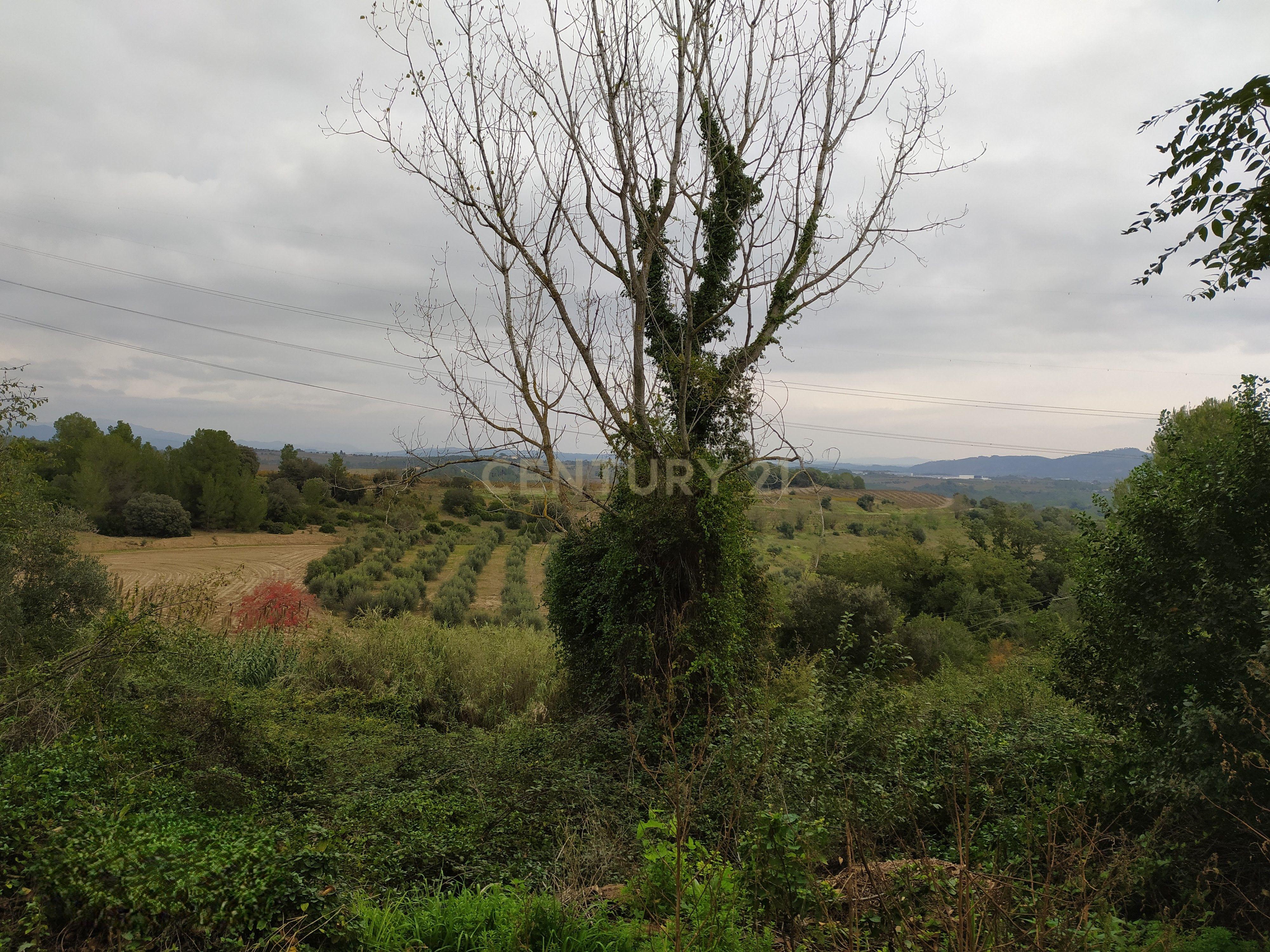 undefined - Image 31