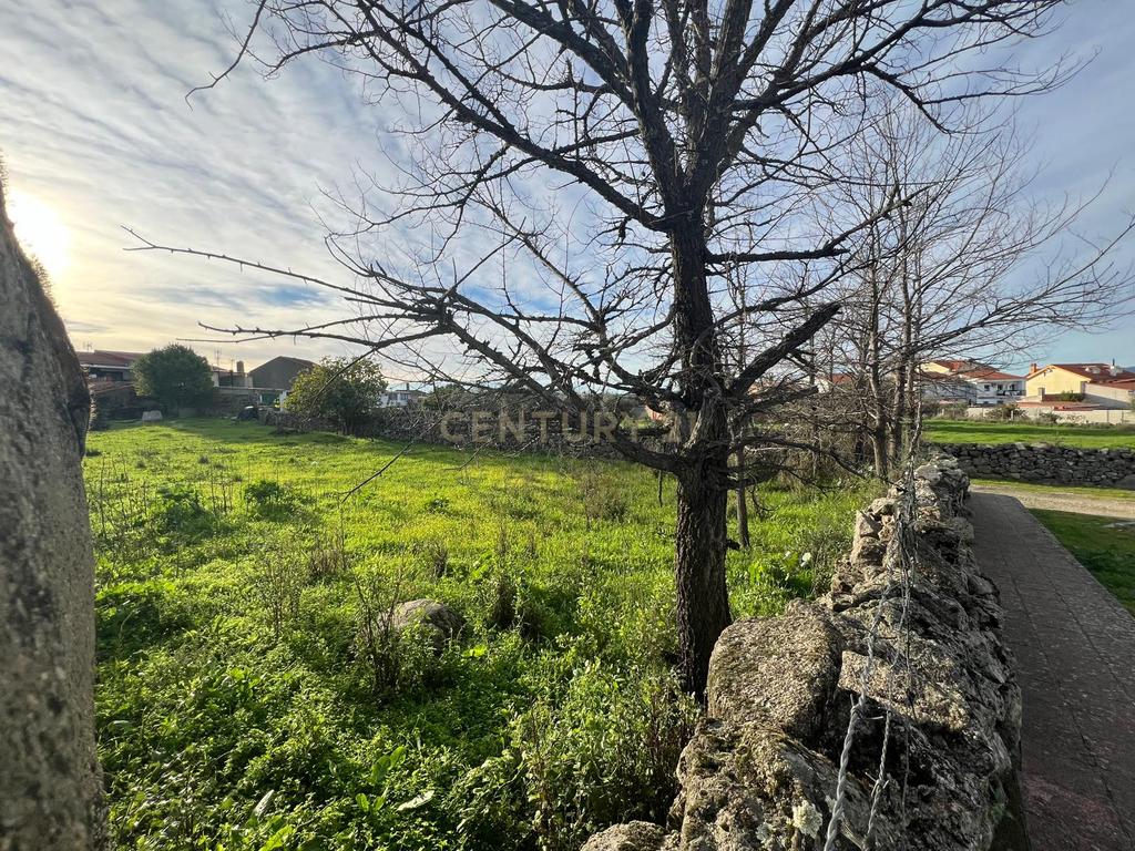 undefined - Image 16