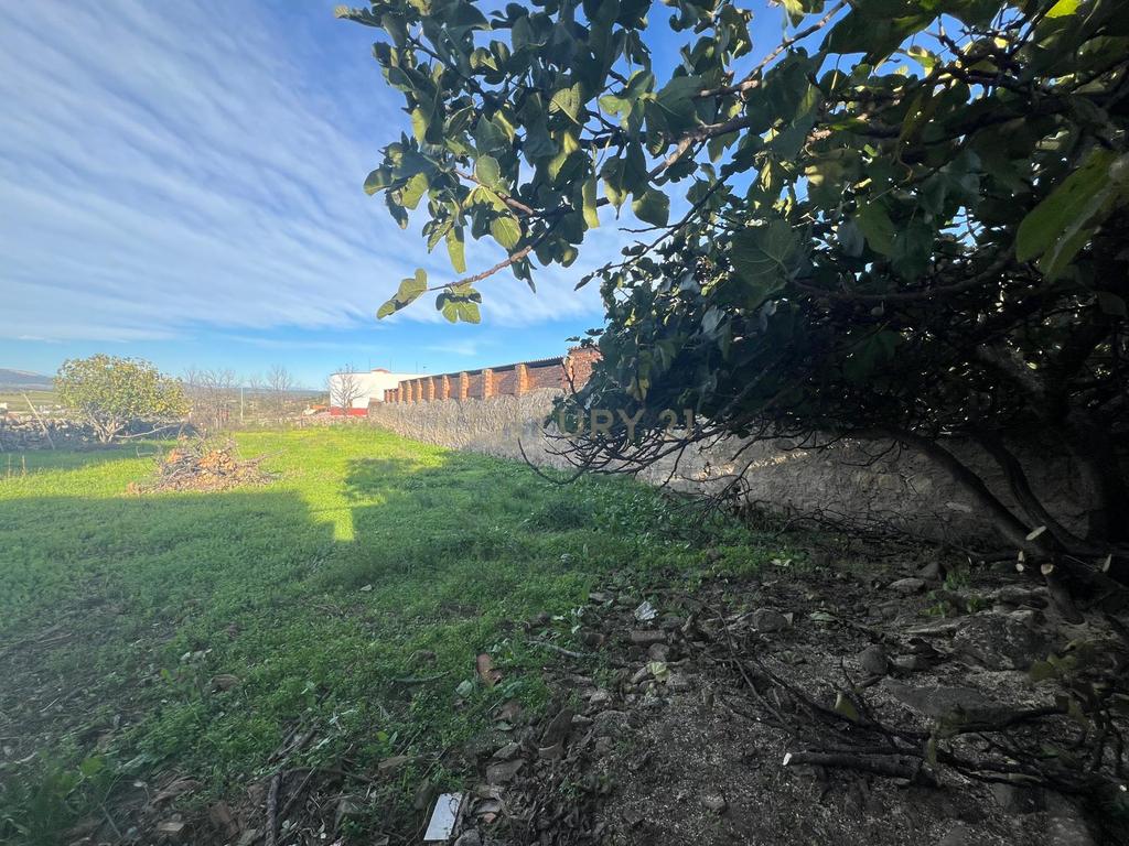 undefined - Image 19