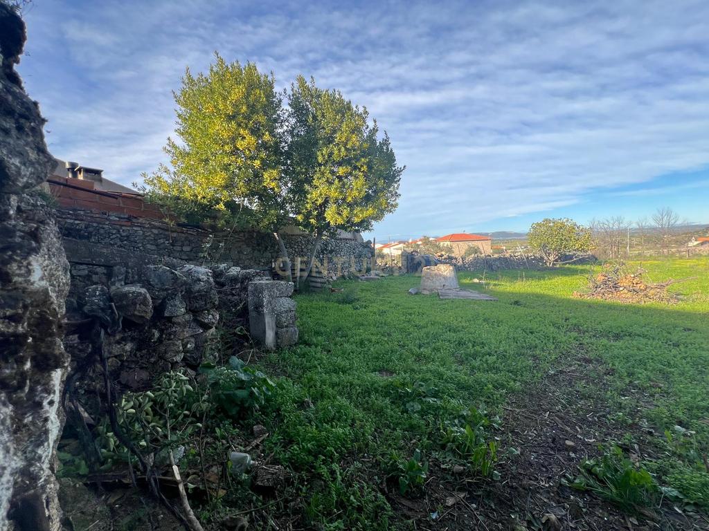 undefined - Image 17