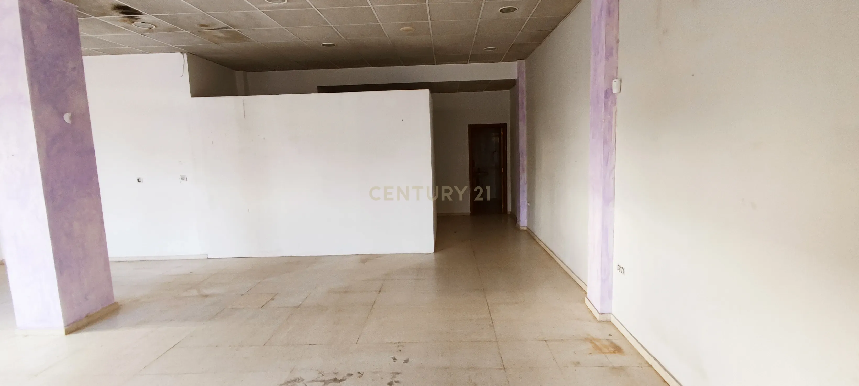undefined - Image 8