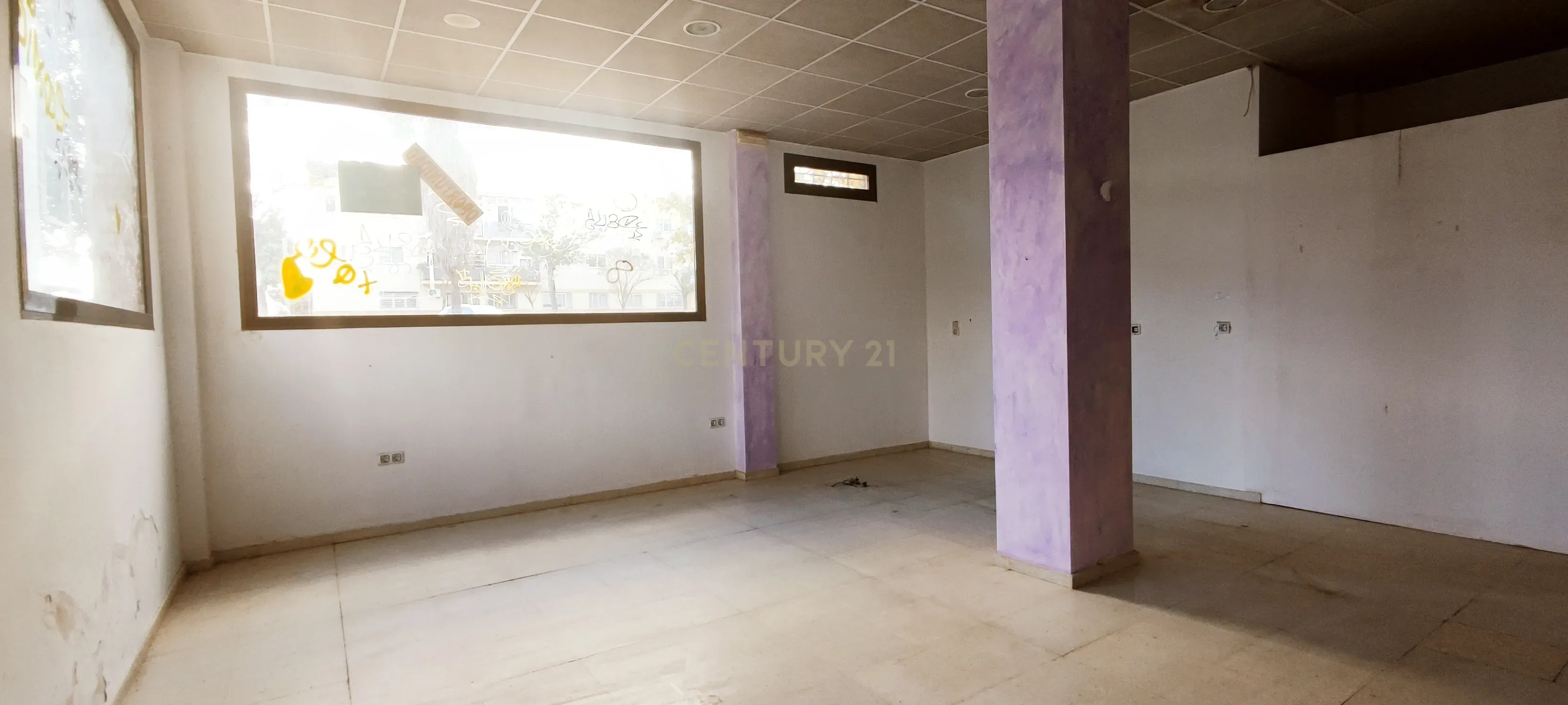 undefined - Image 15