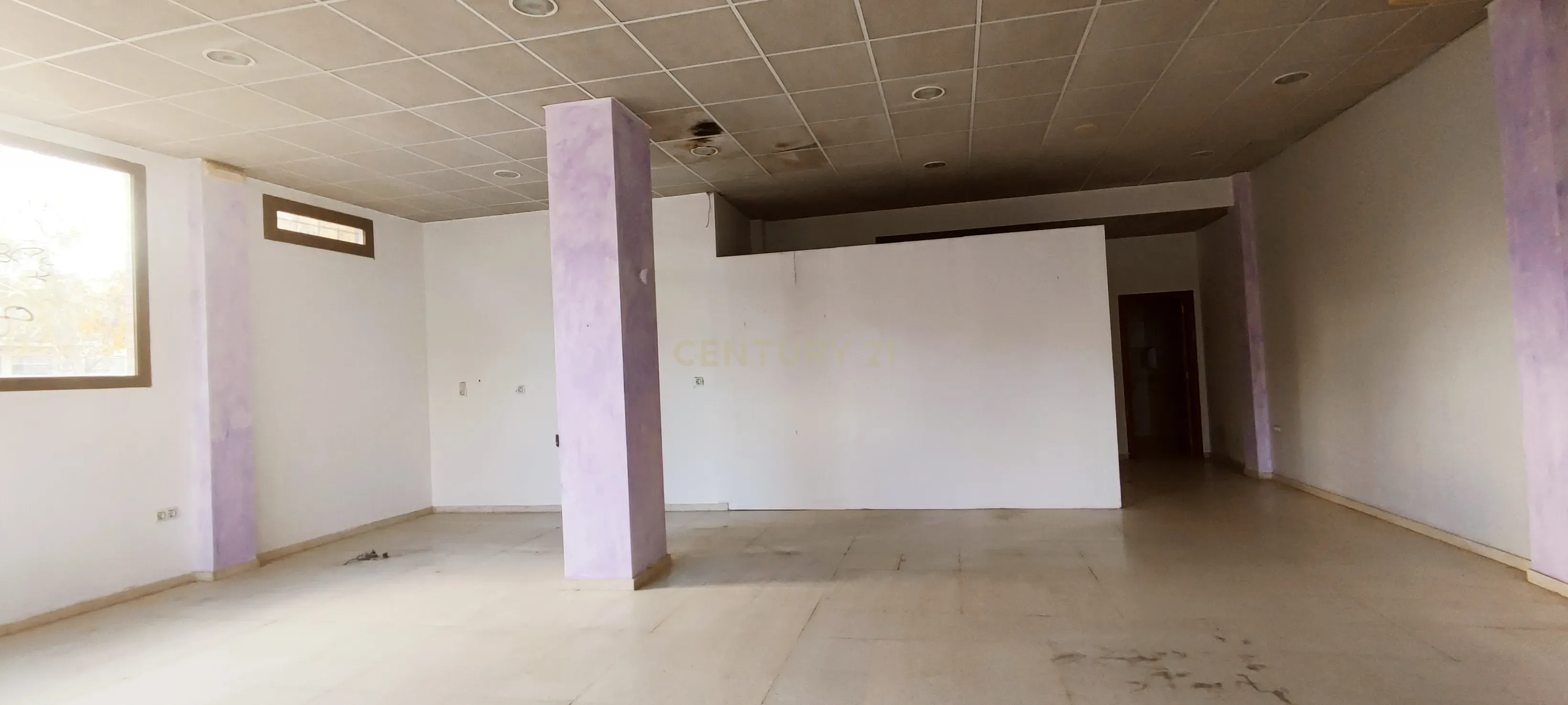 undefined - Image 12