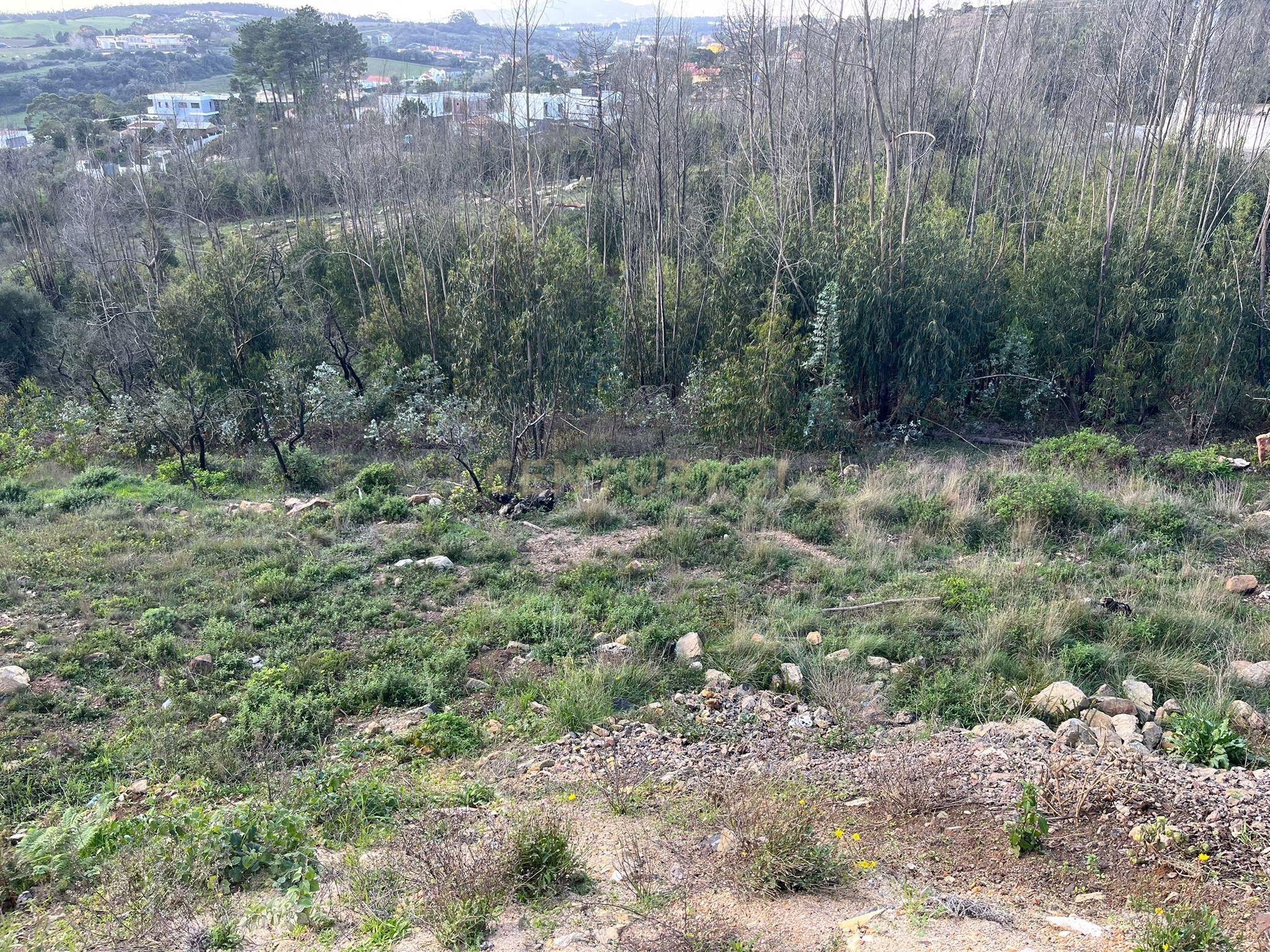 Terreno Urbano para Construção em Almargem do Bispo - Image 2