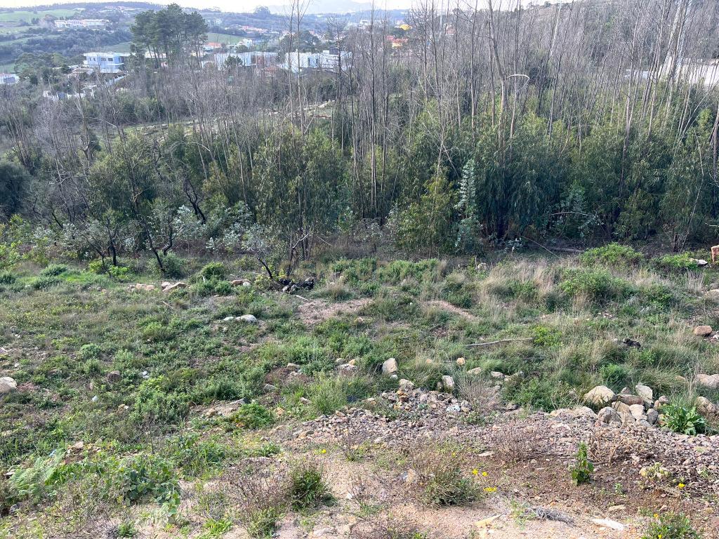 Terreno Urbano para Construção em Almargem do Bispo - Image 2