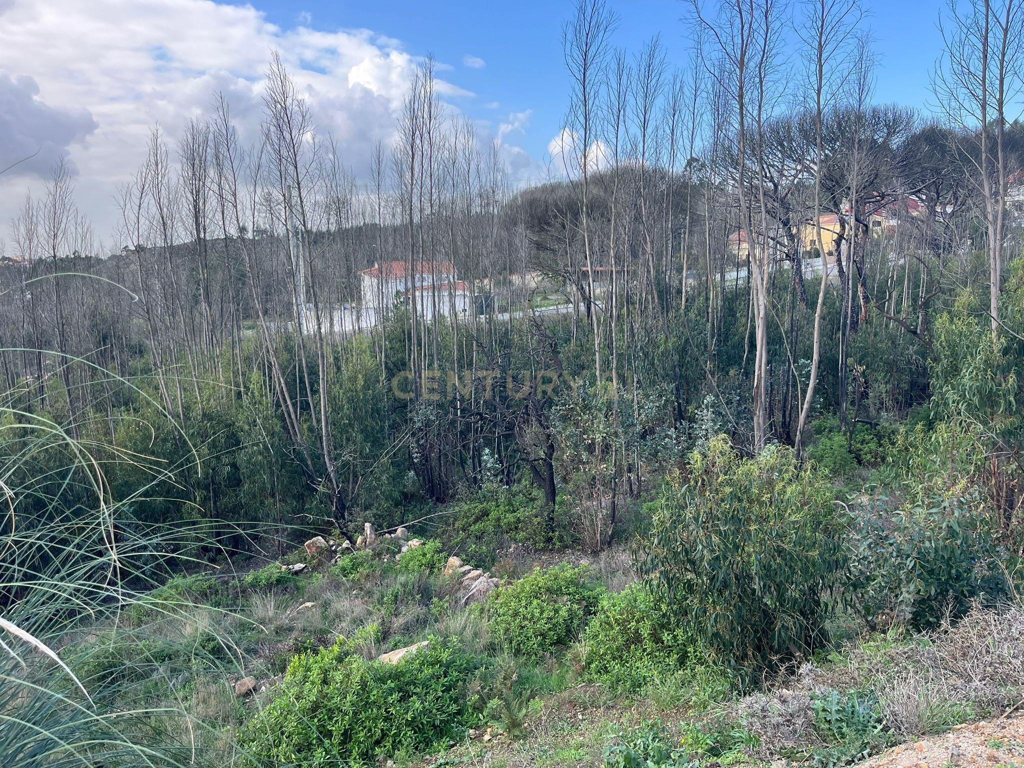 Terreno Urbano para Construção em Almargem do Bispo - Image 3