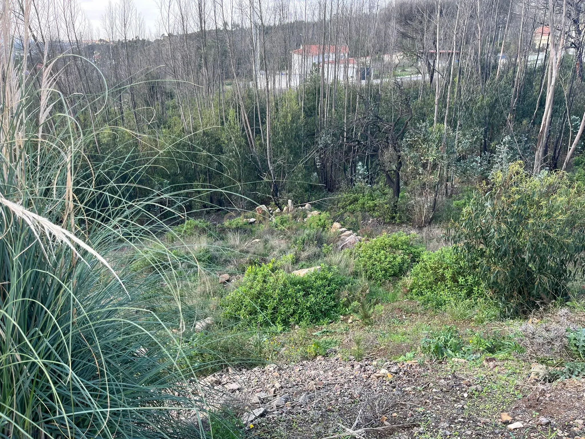 Terreno Urbano para Construção em Almargem do Bispo - Image 5