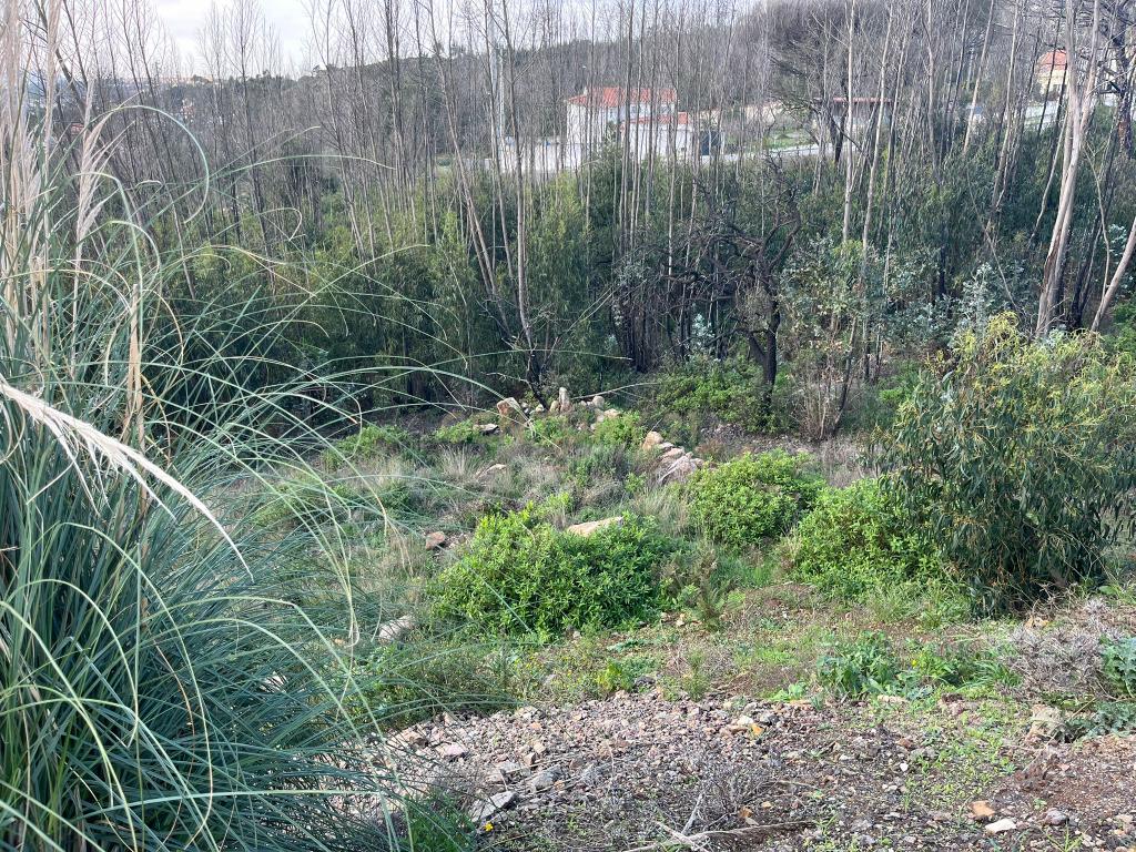 Terreno Urbano para Construção em Almargem do Bispo - Image 5