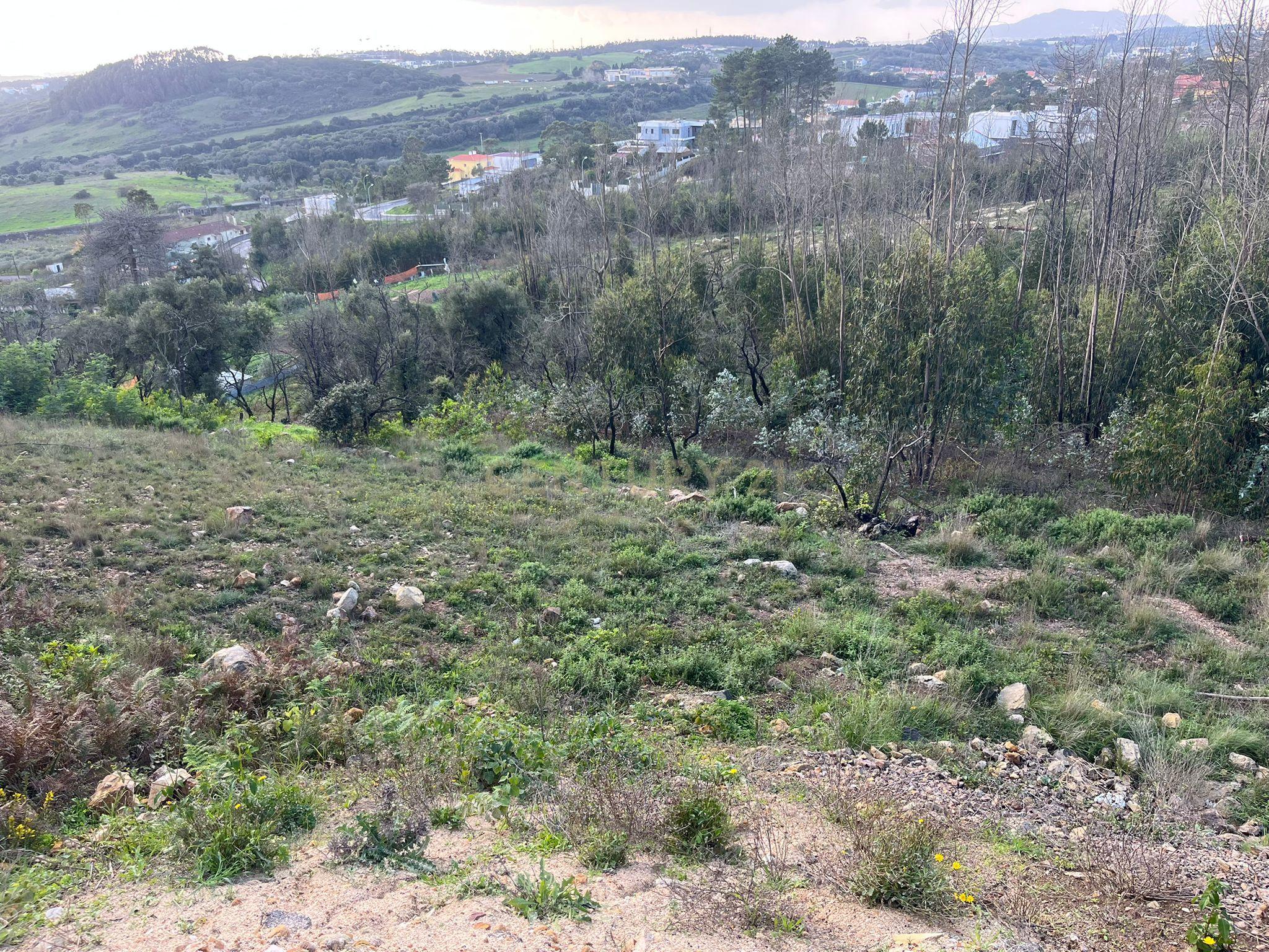 Terreno Urbano para Construção em Almargem do Bispo - Image 4