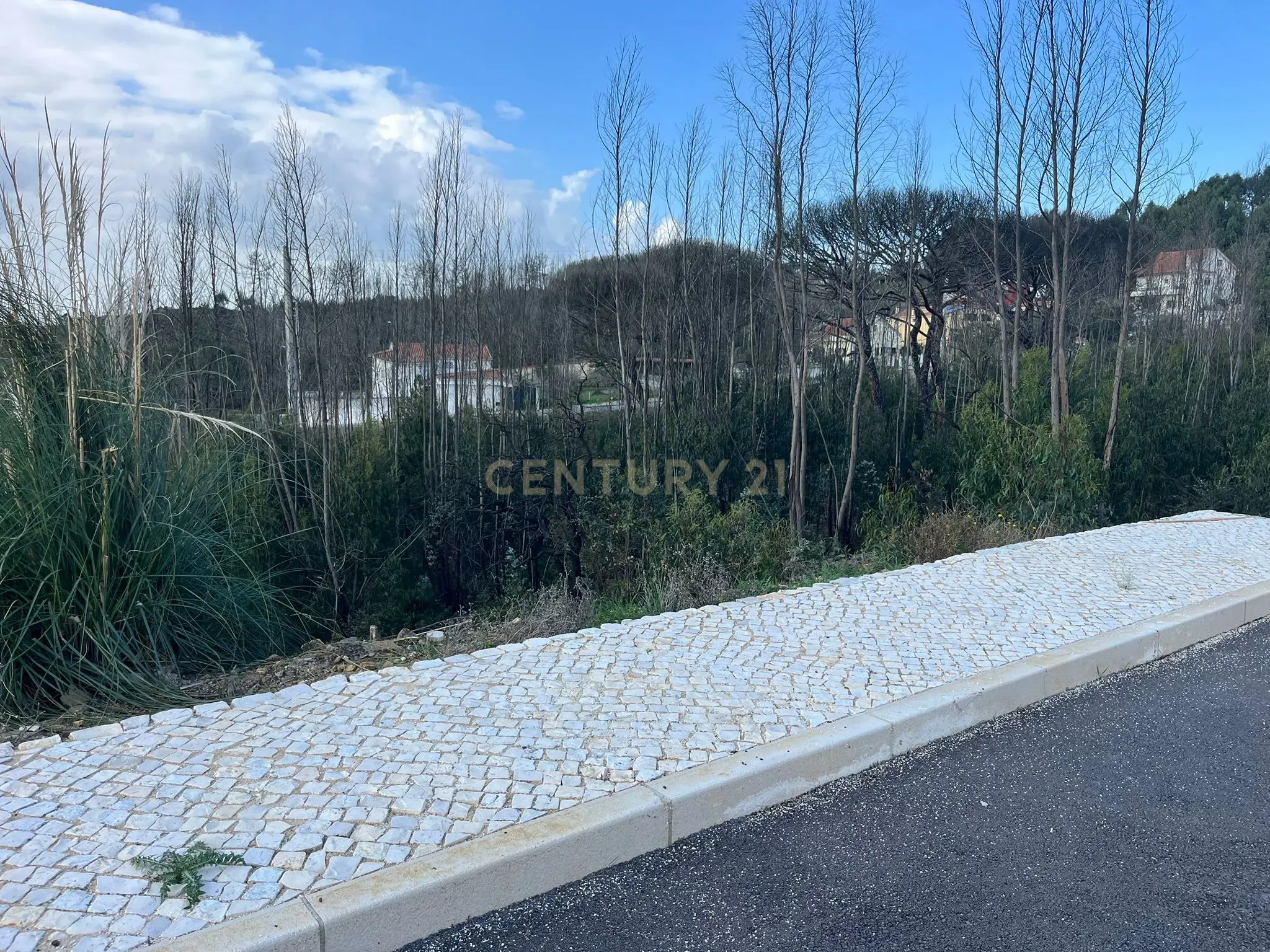 Terreno Urbano para Construção em Almargem do Bispo - Image 6