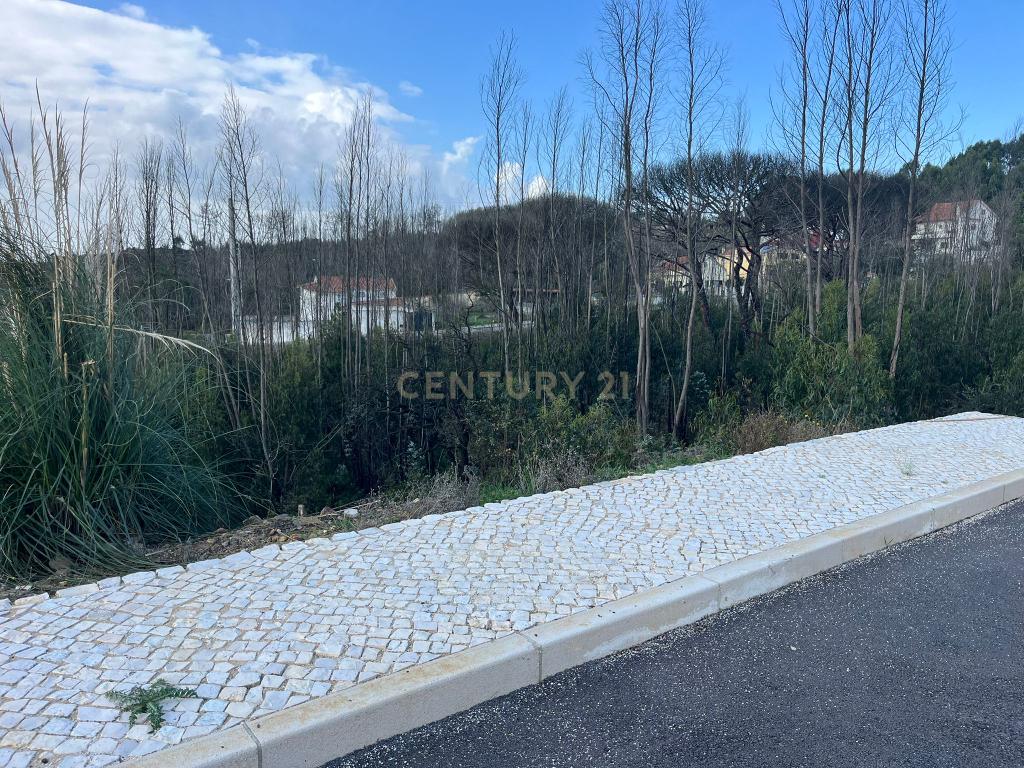 Terreno Urbano para Construção em Almargem do Bispo - Image 6