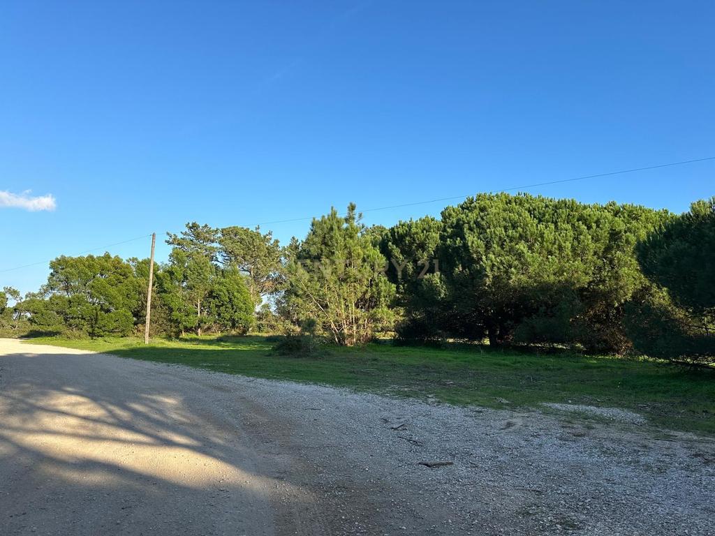Terreno Rústico de 10.450m² – Aguncheiras, Azóia (Perto da Aldeia do Meco) - Image 1