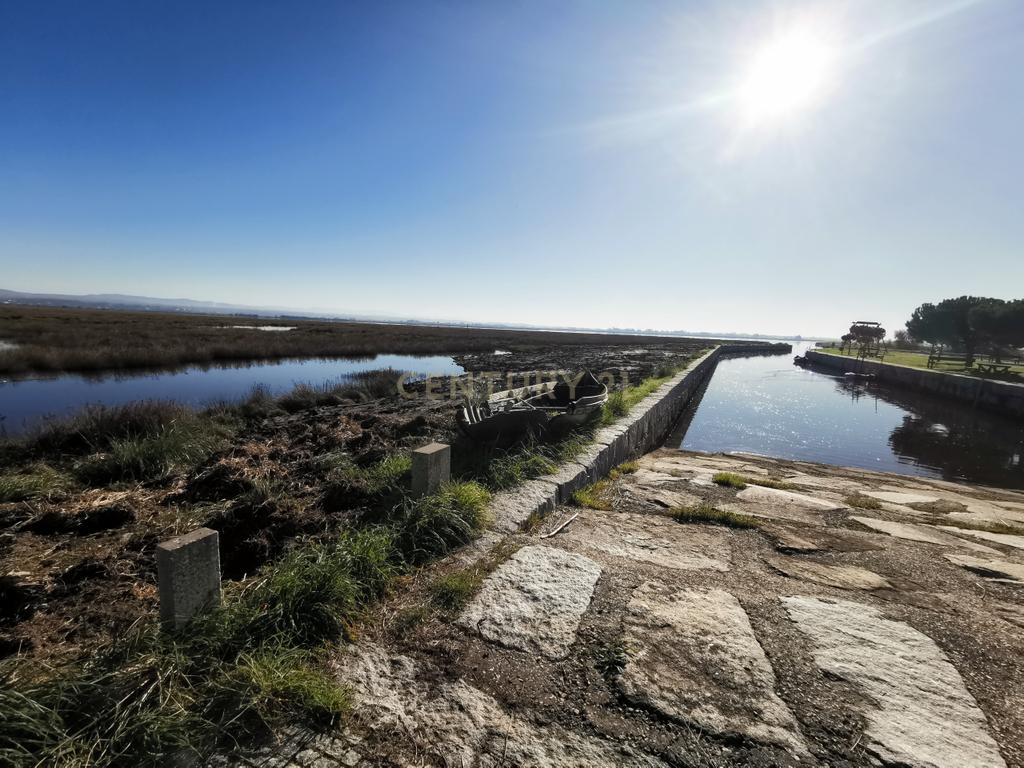 Moradia  T2 - Totalmente Reconstruída 2023- Paineis Solares e fotovoltaicos + furo agua - Veiros-Murtosa-  Parque da Ria de Aveiro - Image 48