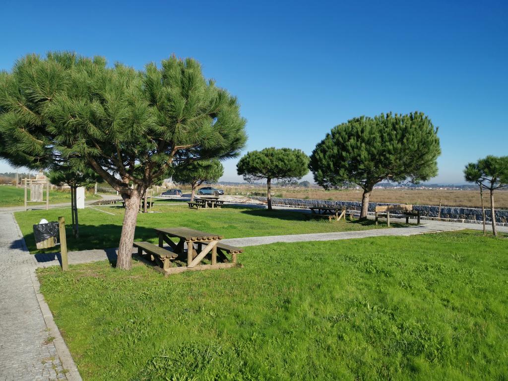 Moradia  T2 - Totalmente Reconstruída 2023- Paineis Solares e fotovoltaicos + furo agua - Veiros-Murtosa-  Parque da Ria de Aveiro - Image 42