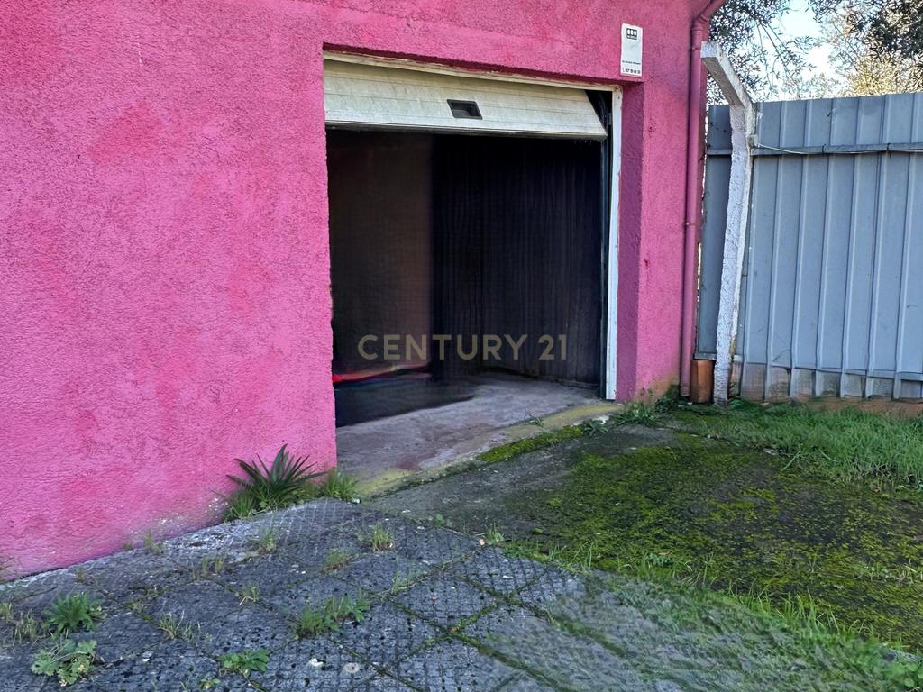 Excelente moradia em São João de Areias, Santa Comba Dão - Image 19