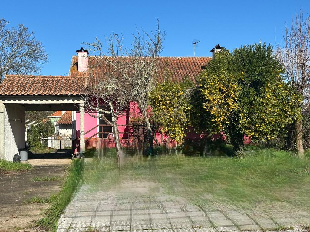 Excelente moradia em São João de Areias, Santa Comba Dão - Image 9