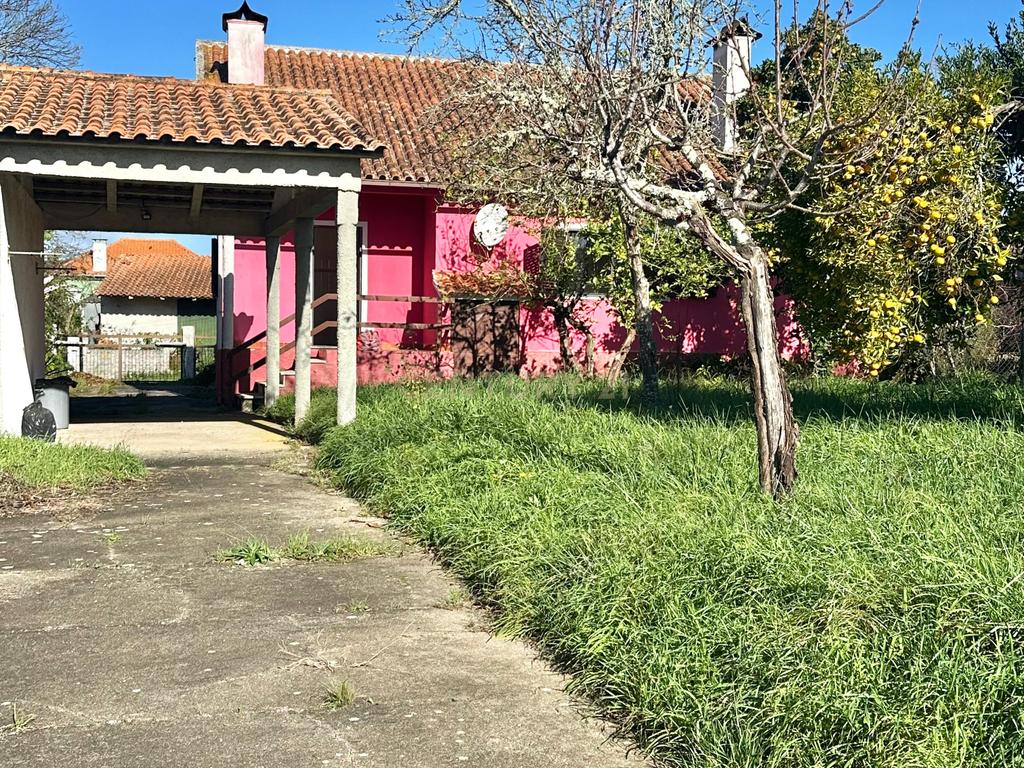 Excelente moradia em São João de Areias, Santa Comba Dão - Image 8