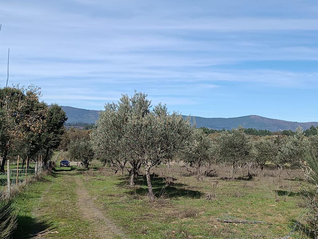 Fabuloso Terreno, confronta com ribeira - Image 6