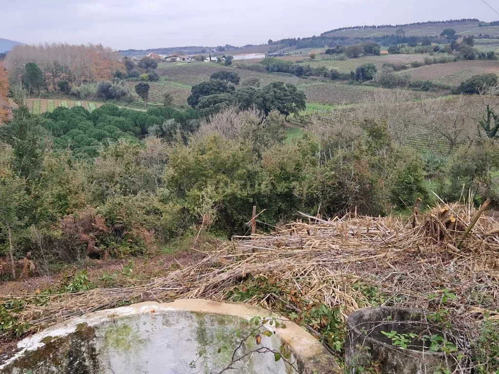 Terreno Rústico em Serradinho com paisagem deslumbrante - Image 2
