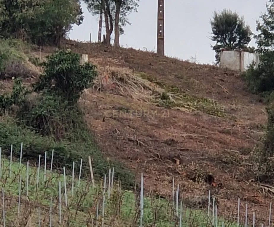 Terreno Rústico em Serradinho com paisagem deslumbrante - Image 14