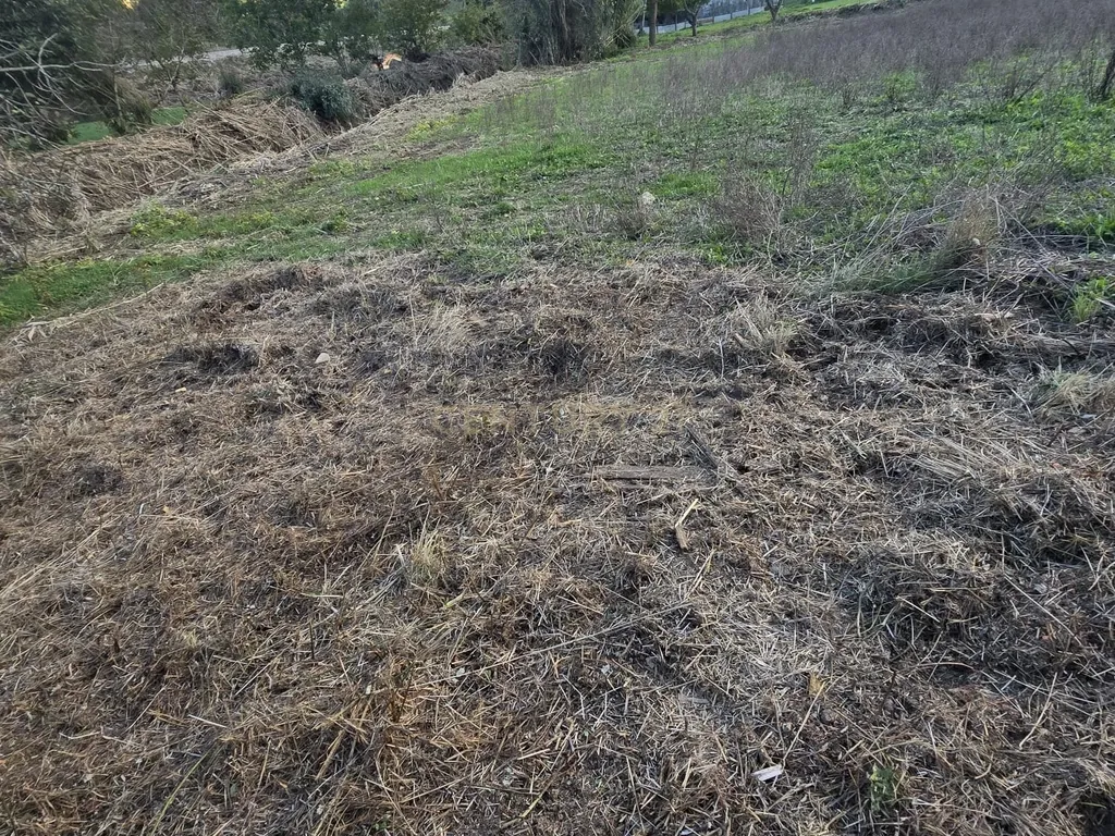 Terreno Rústico em Serradinho com paisagem deslumbrante - Image 6