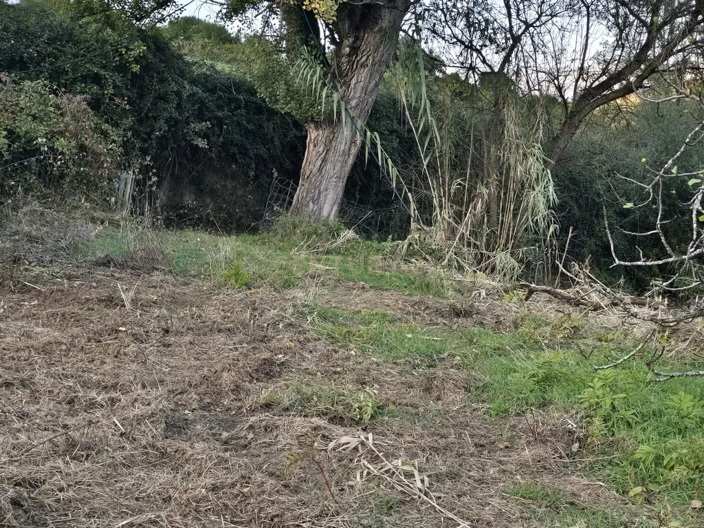 Terreno Rústico em Serradinho com paisagem deslumbrante - Image 7