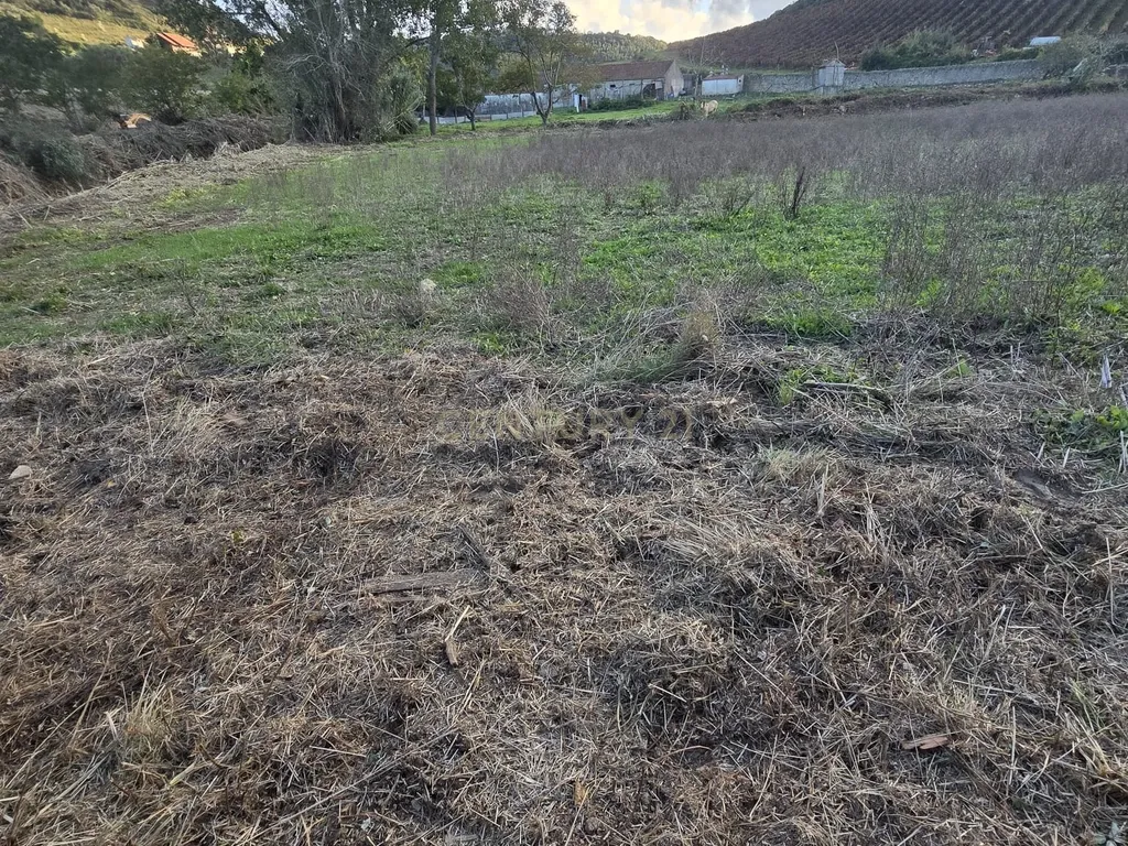 Terreno Rústico em Serradinho com paisagem deslumbrante - Image 10