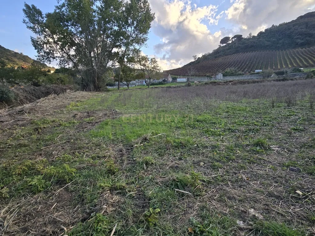Terreno Rústico em Serradinho com paisagem deslumbrante - Image 11