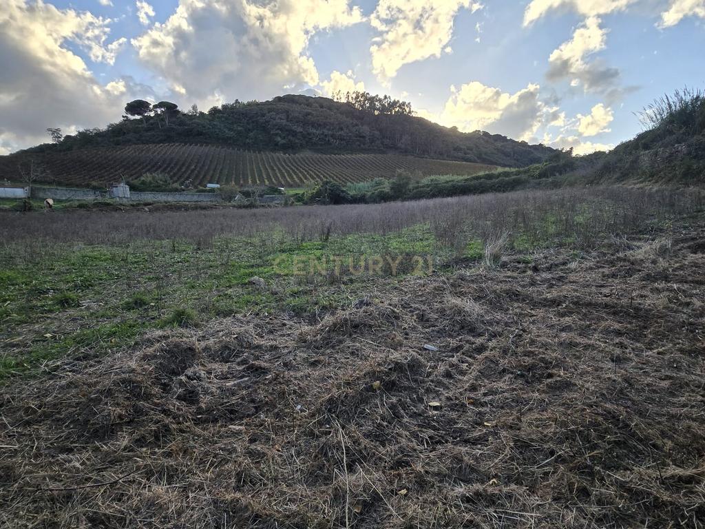 Terreno Rústico em Serradinho com paisagem deslumbrante - Image 12