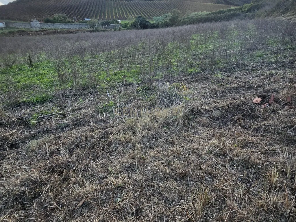 Terreno Rústico em Serradinho com paisagem deslumbrante - Image 13