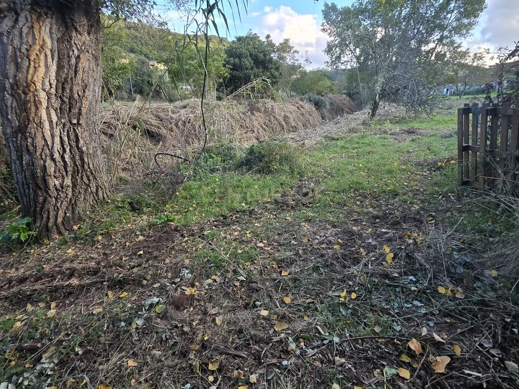 Terreno Rústico em Serradinho com paisagem deslumbrante - Image 8