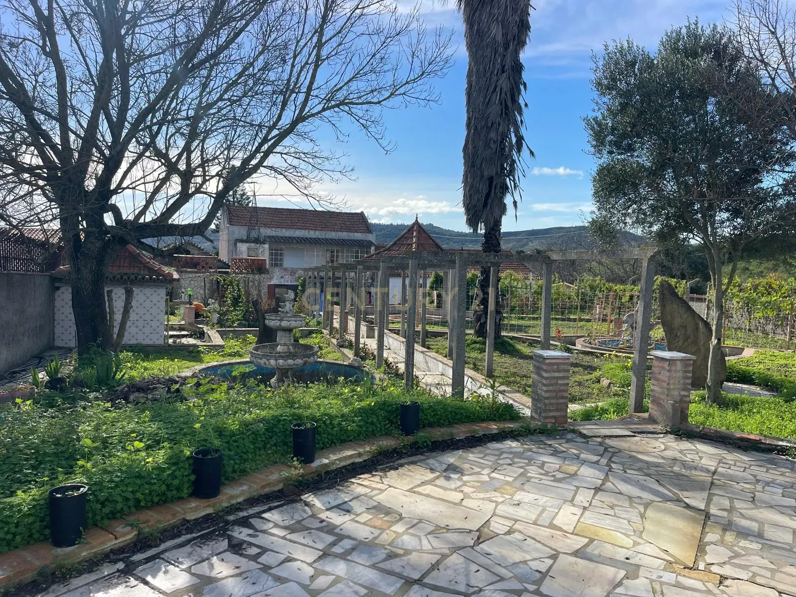 Quinta em São João dos Montes - Image 6