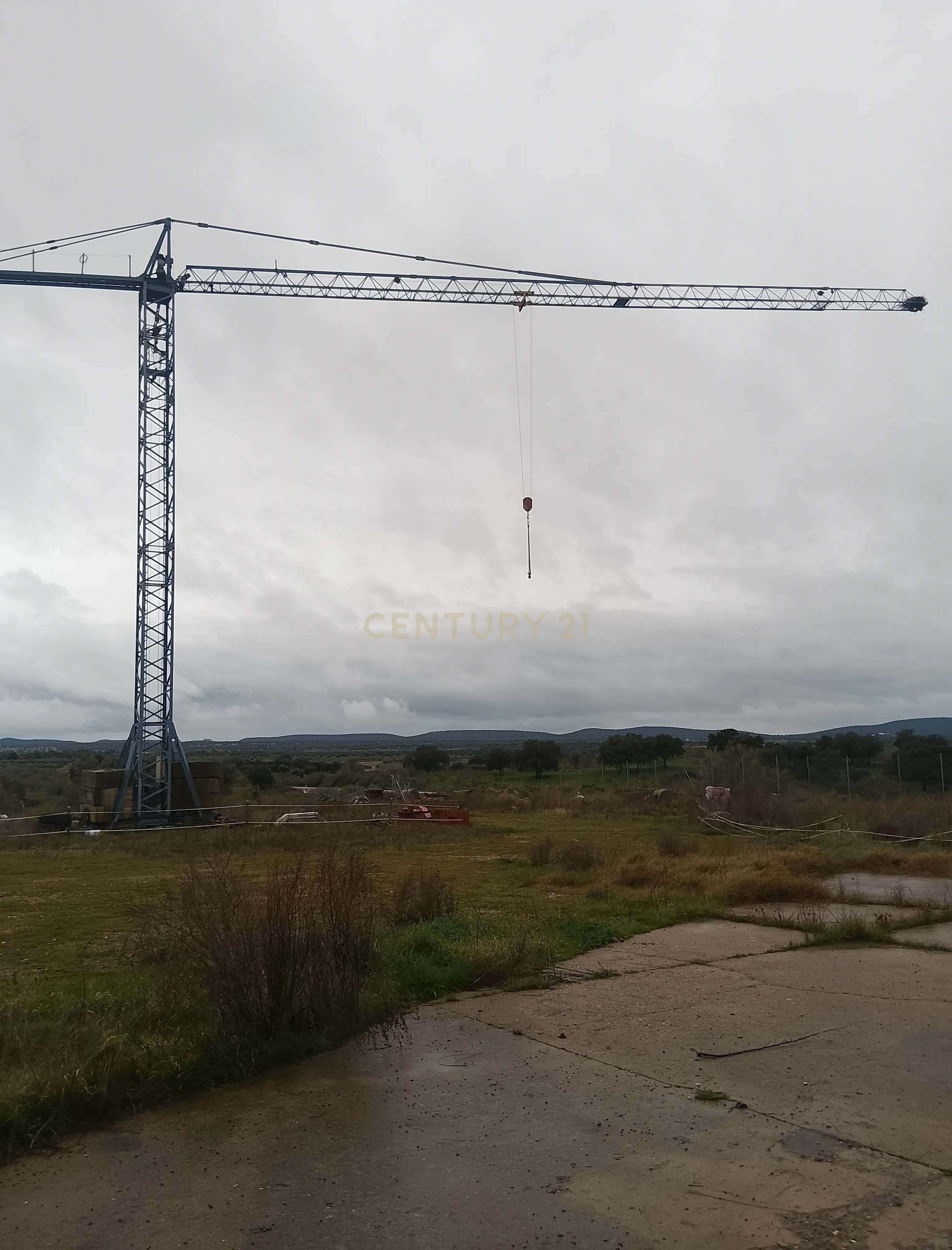 undefined - Image 31